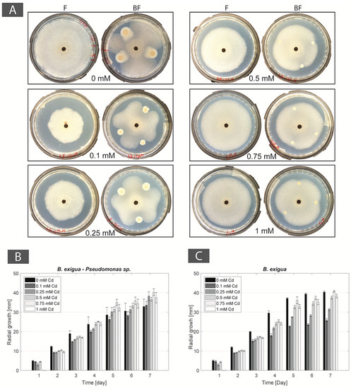 Minerals 08 00121 g0a1 550