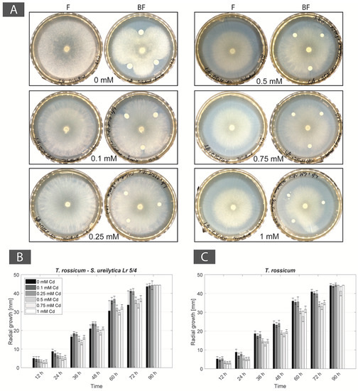 Minerals 08 00121 g0a2 550