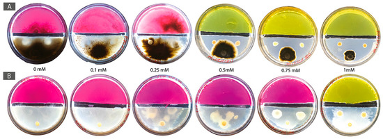 Minerals 08 00121 g0a3 550