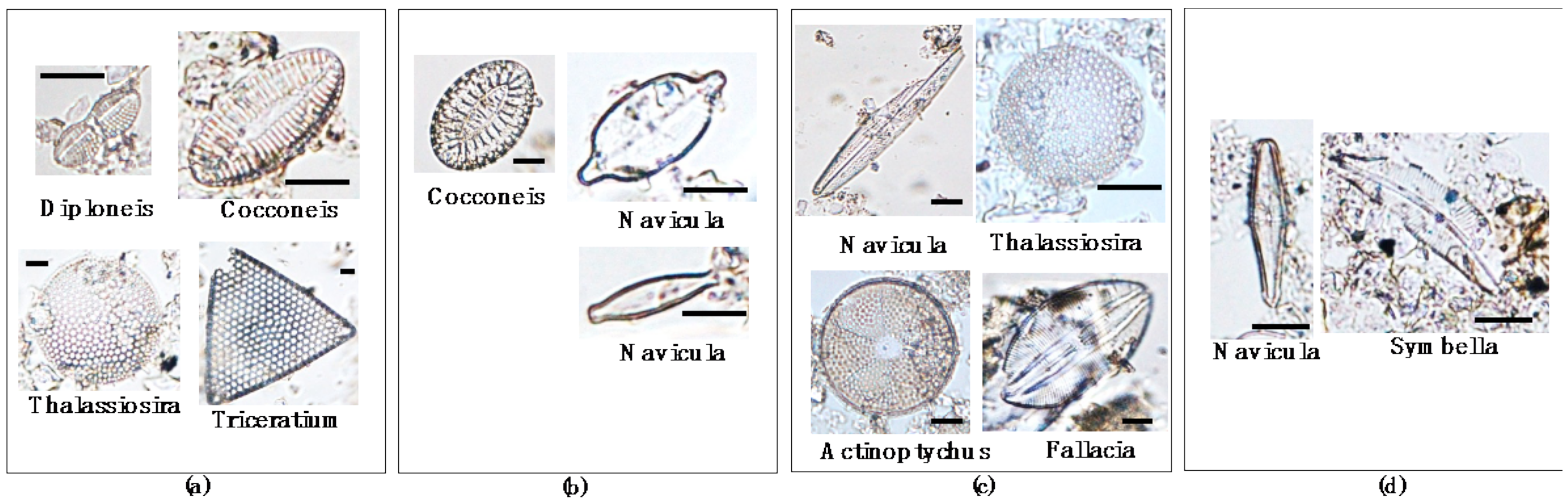 Minerals 08 00174 g005