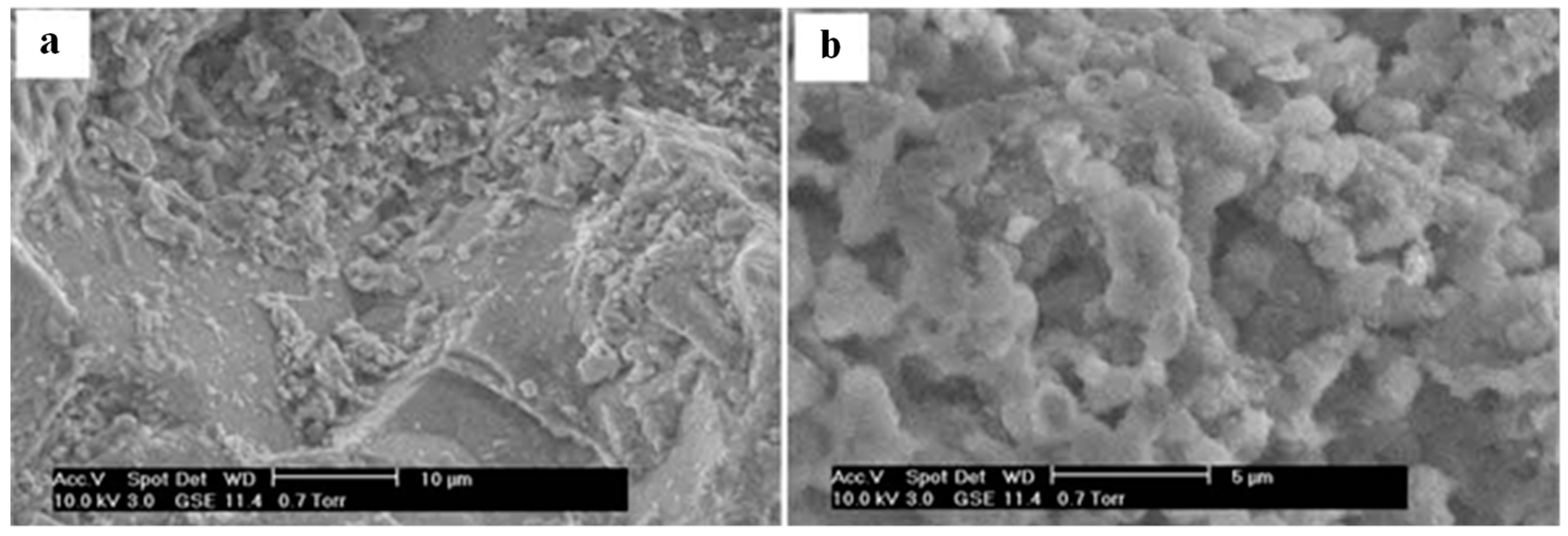 Minerals 08 00199 g003 Minerals 08 00199 g003