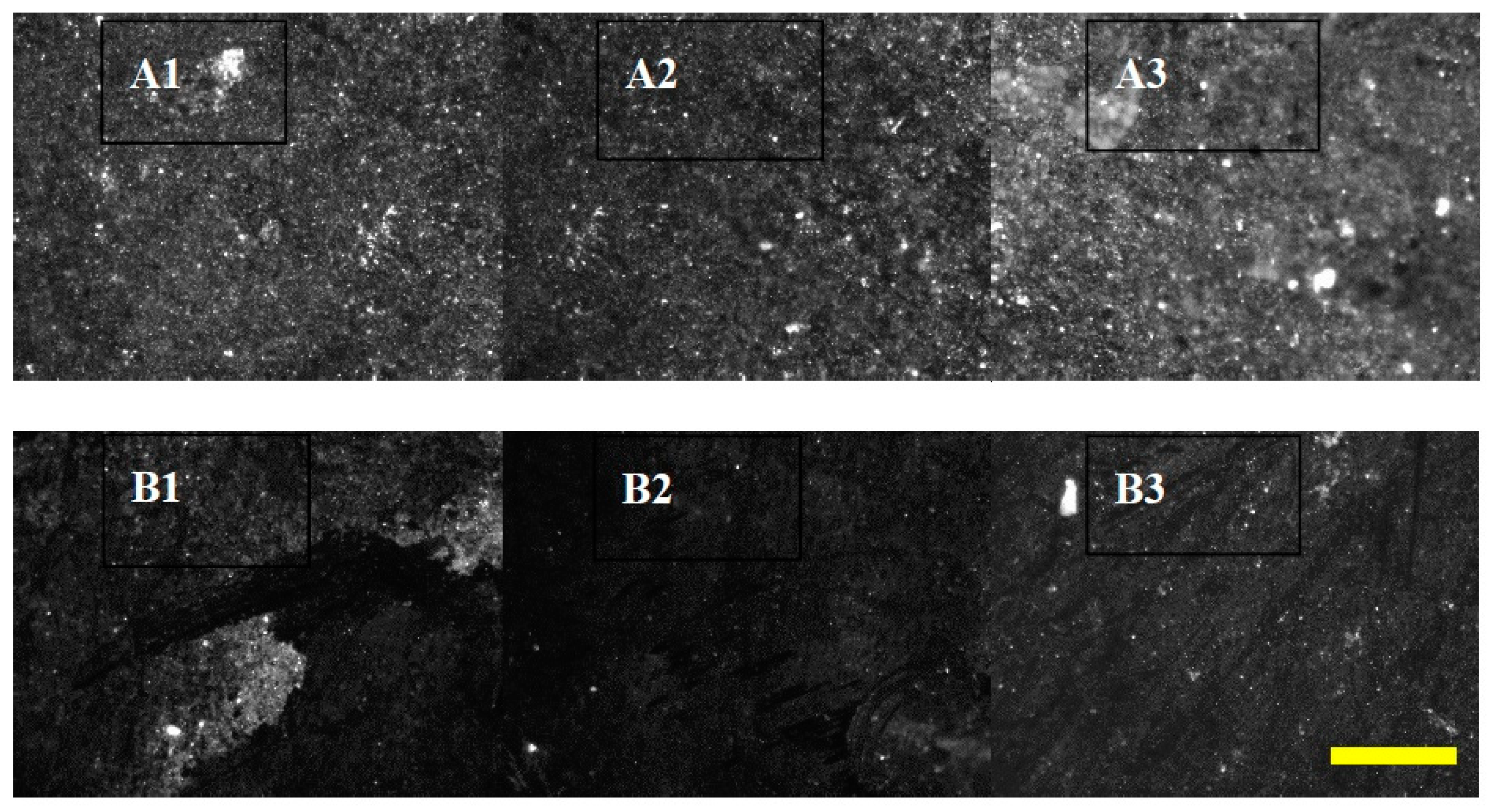 Minerals 08 00199 g005 Minerals 08 00199 g005