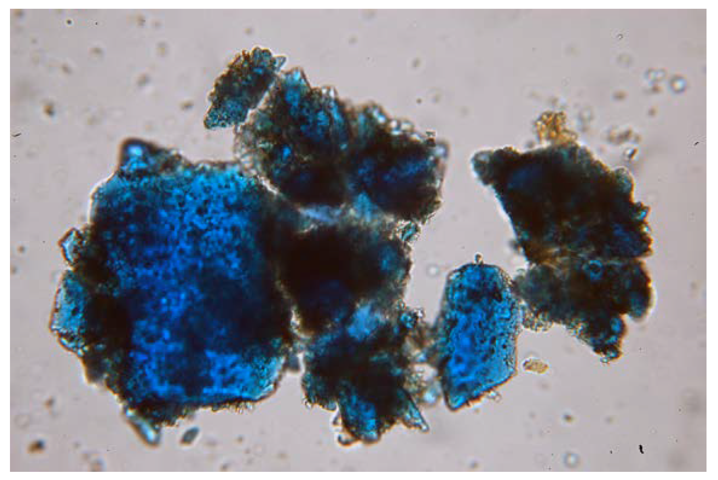 Minerals 08 00201 g004