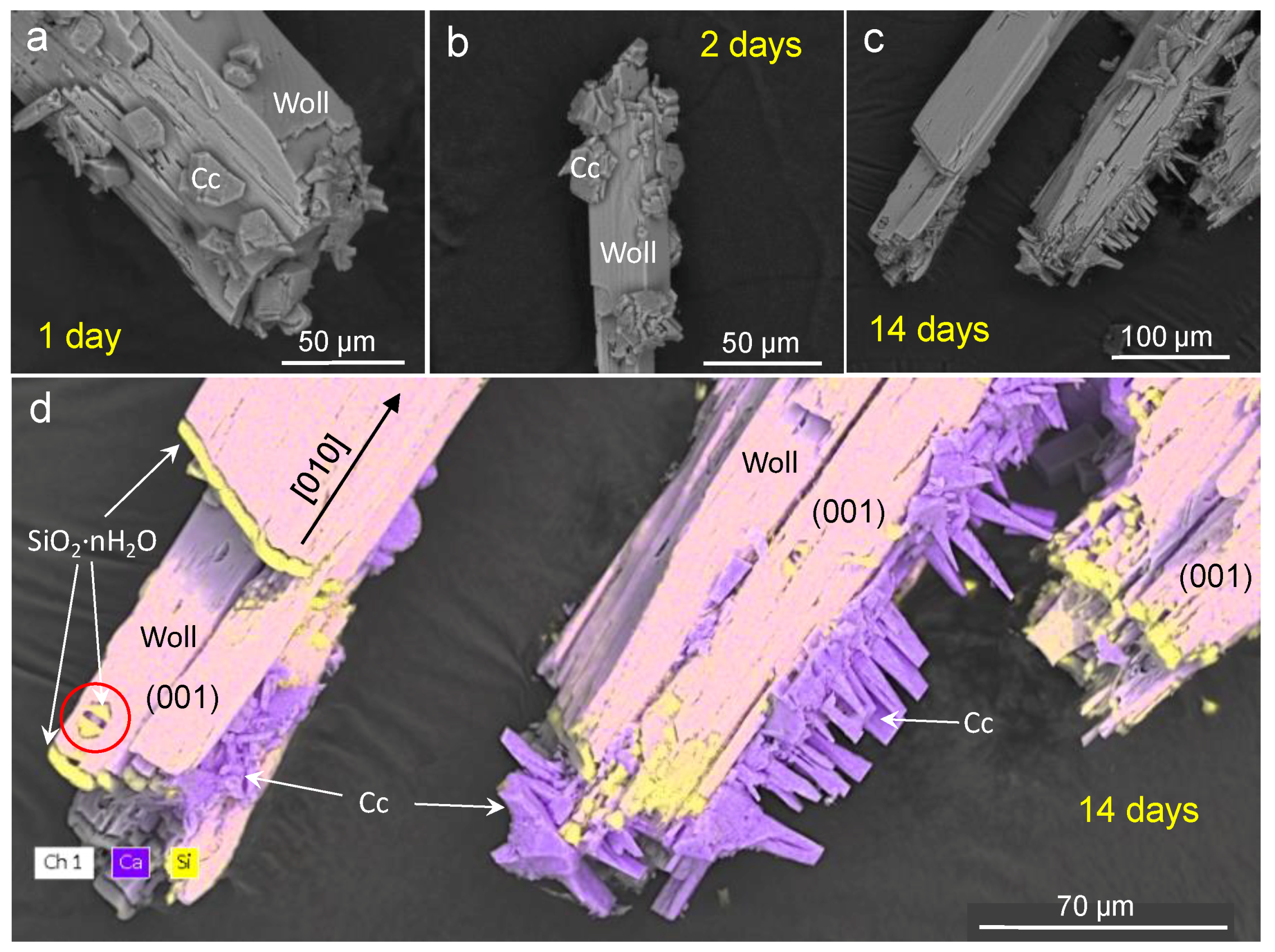 Minerals 08 00209 g007