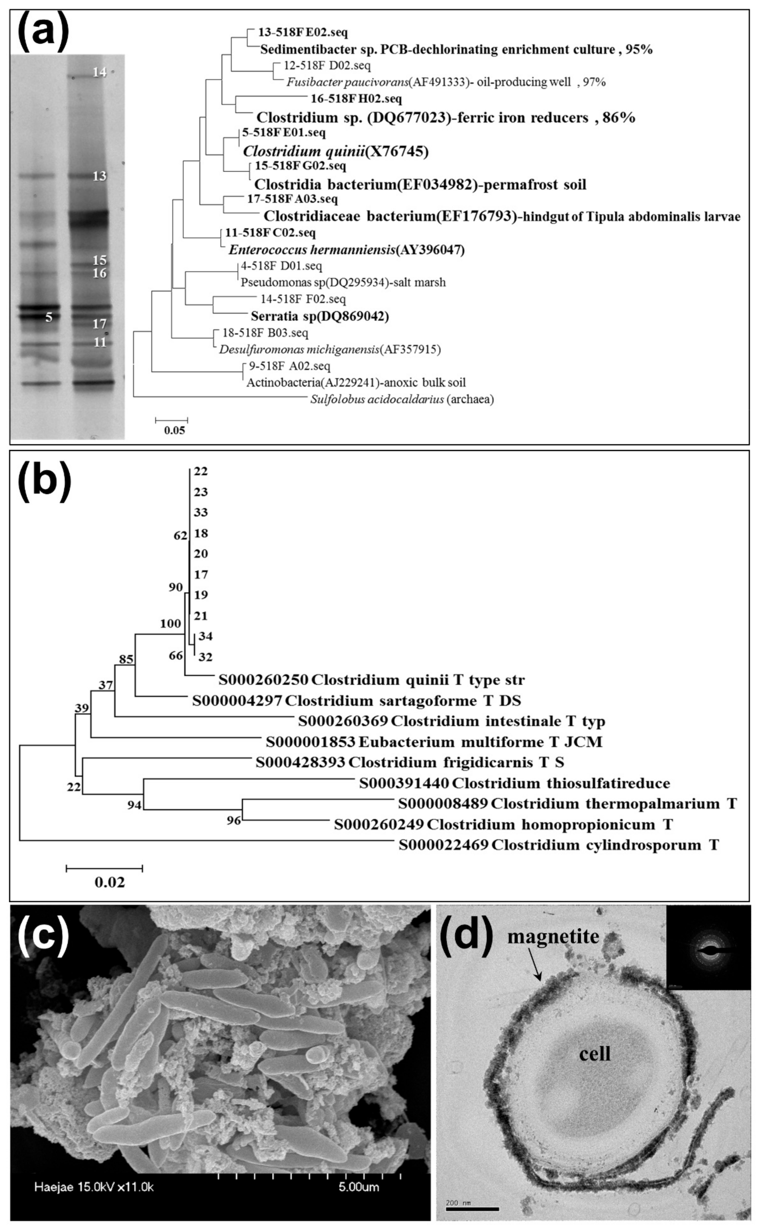 Minerals 08 00212 g001