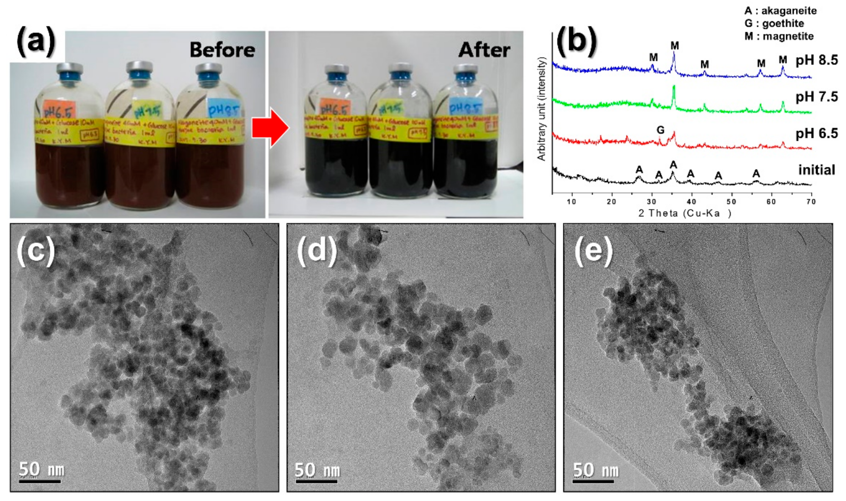 Minerals 08 00212 g004