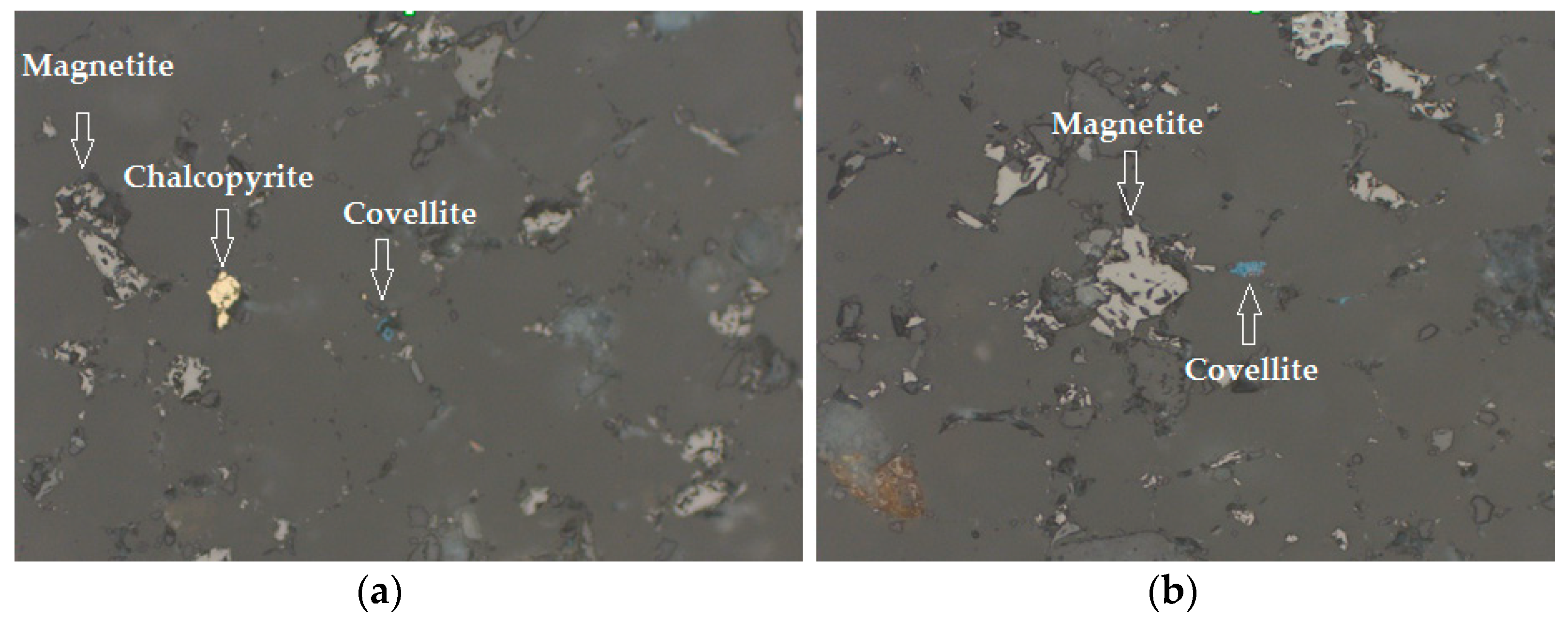 Minerals 08 00238 g009