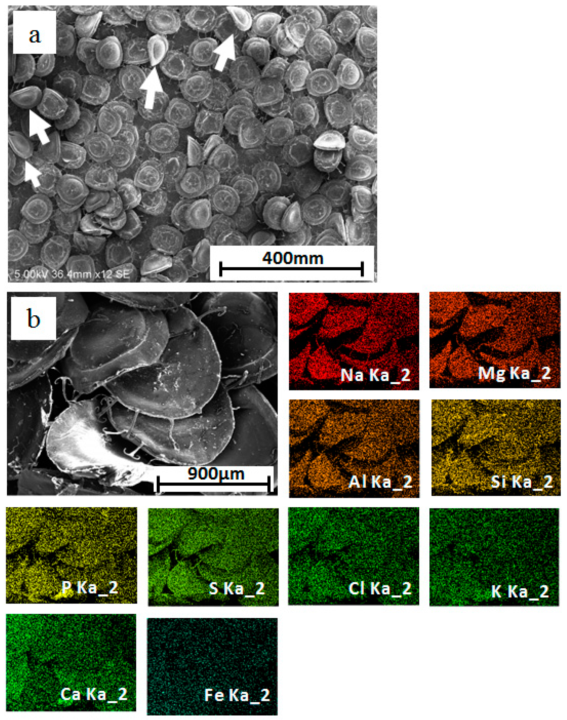 Minerals 08 00242 g004
