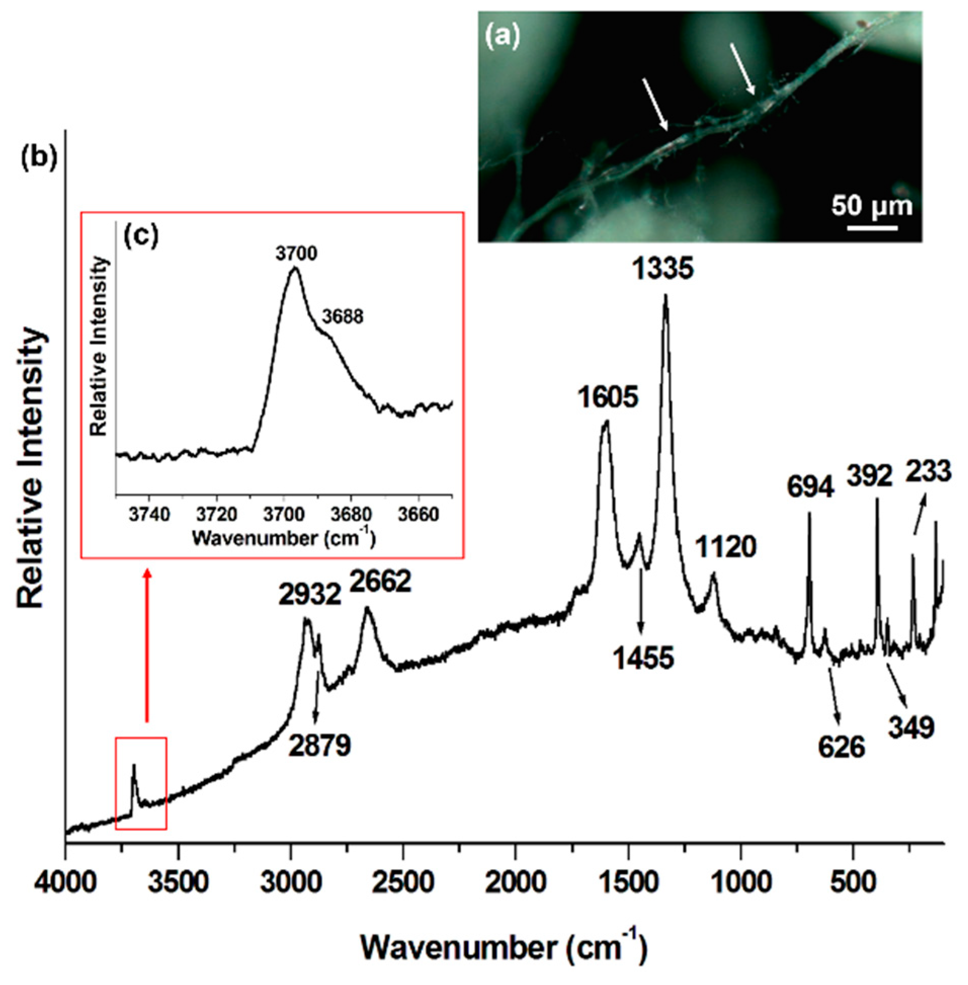 Minerals 08 00249 g003