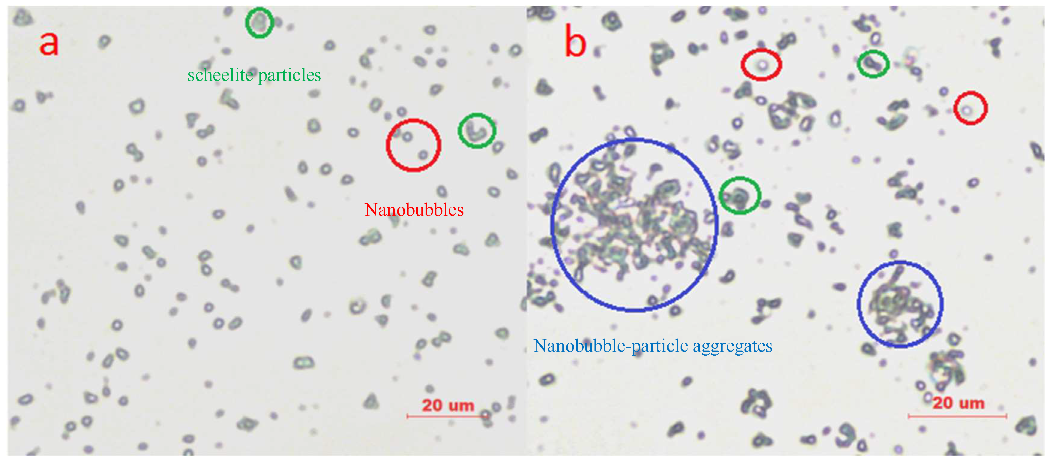 Minerals 08 00264 g006