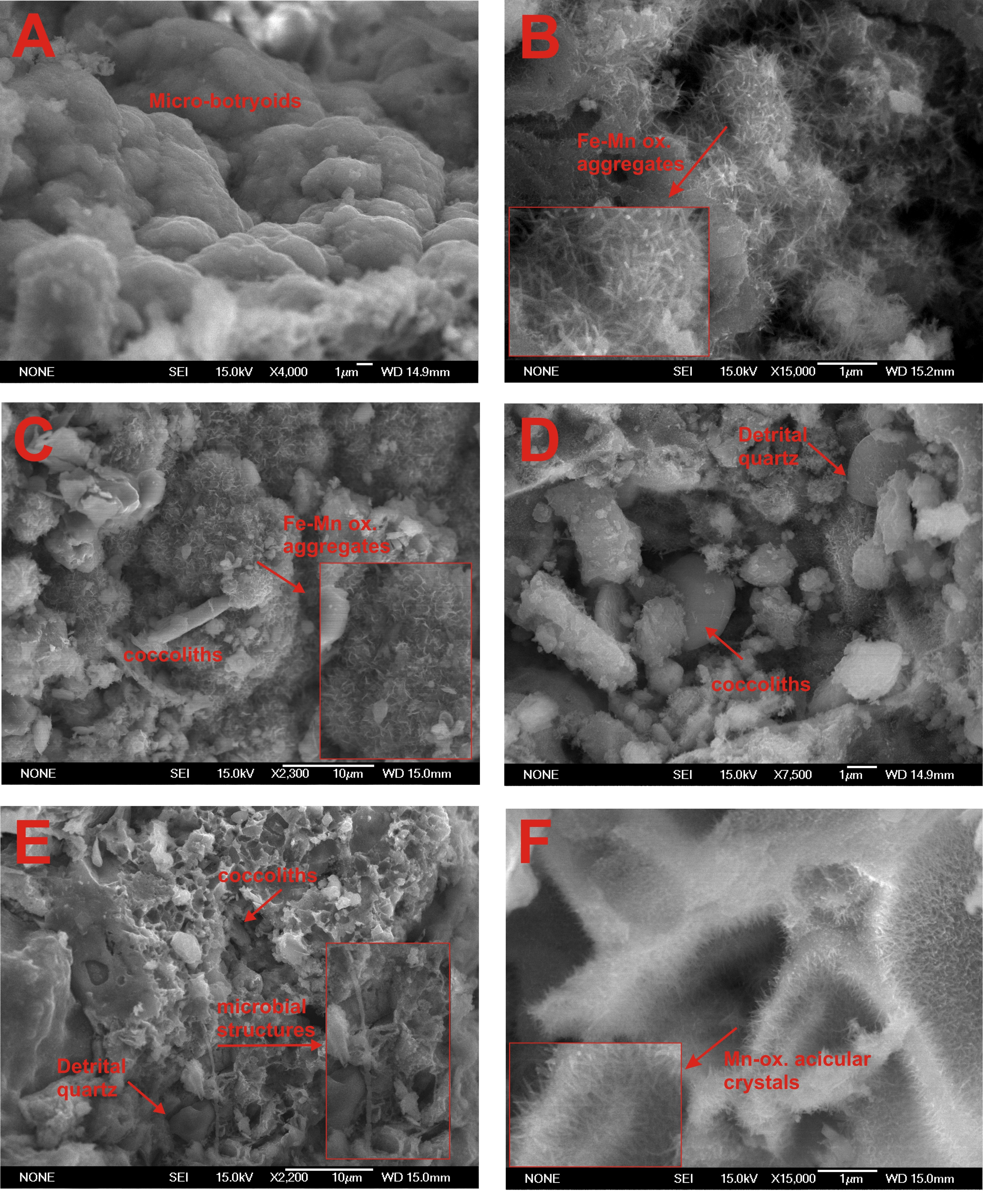 Minerals 08 00285 g006