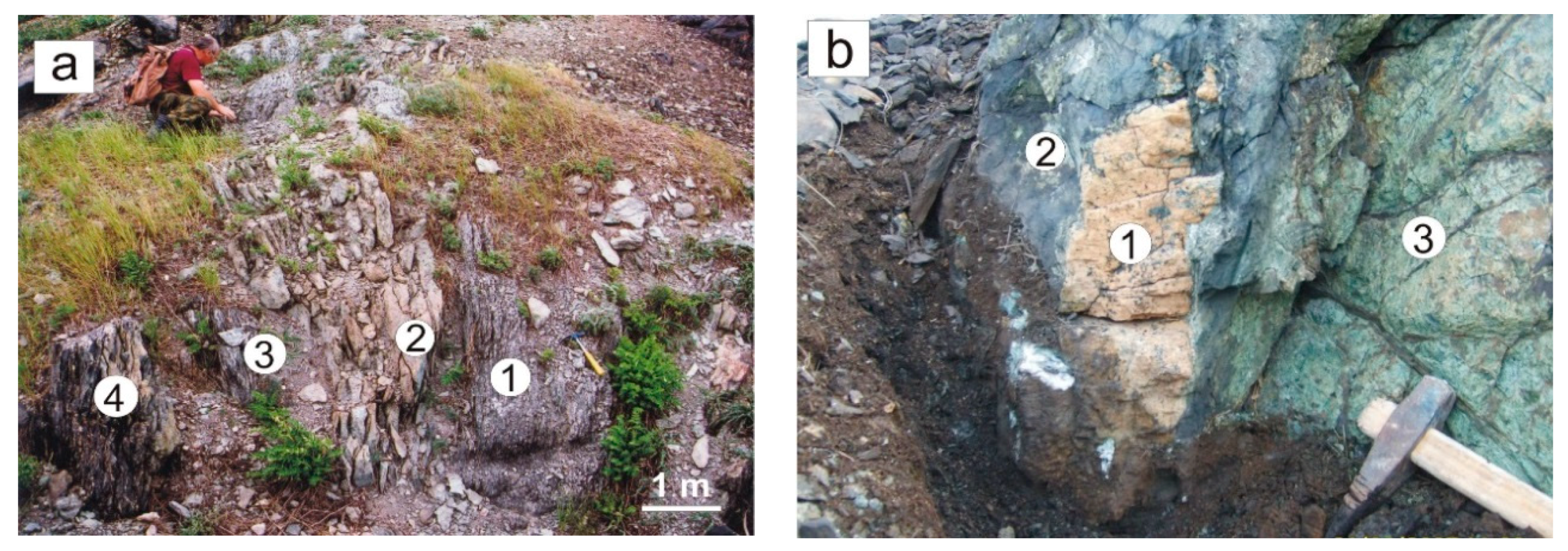 Minerals 08 00306 g003