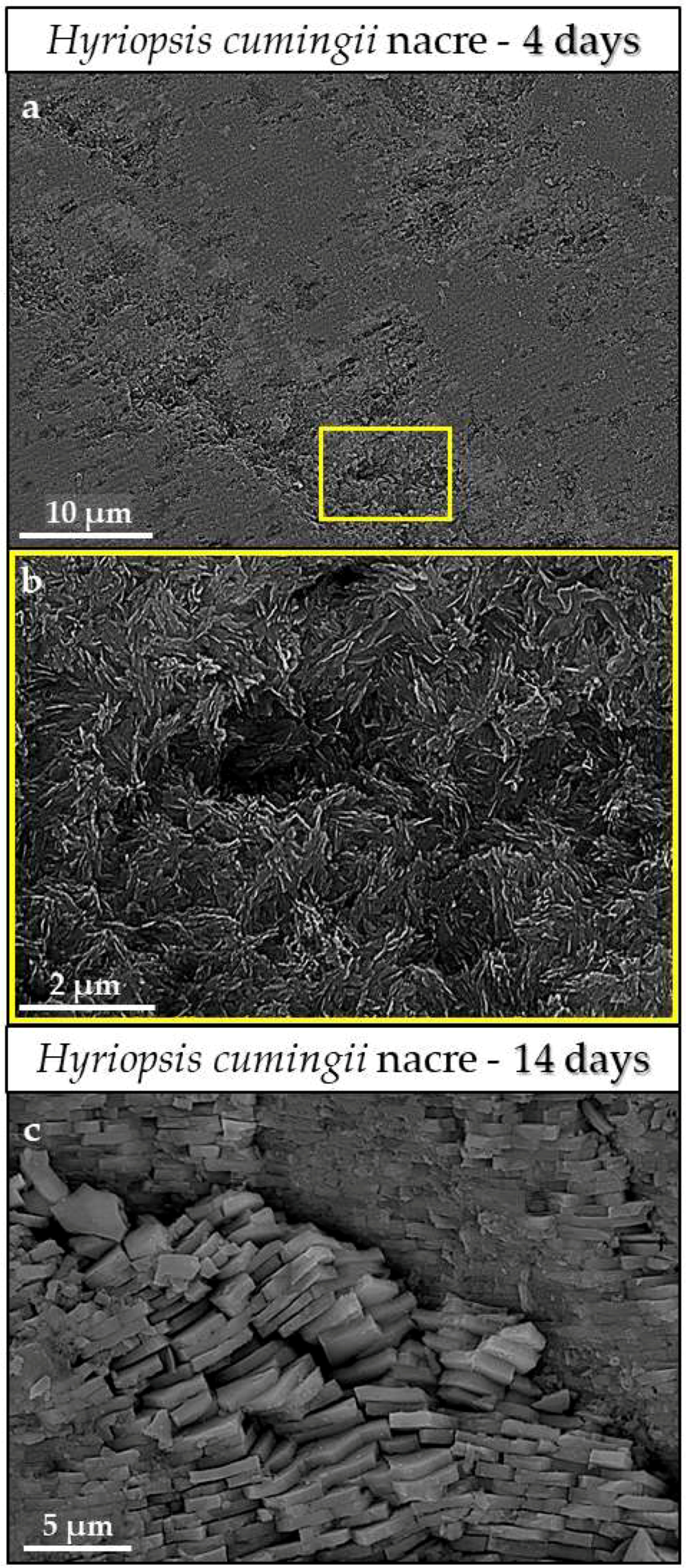 Minerals 08 00315 g003
