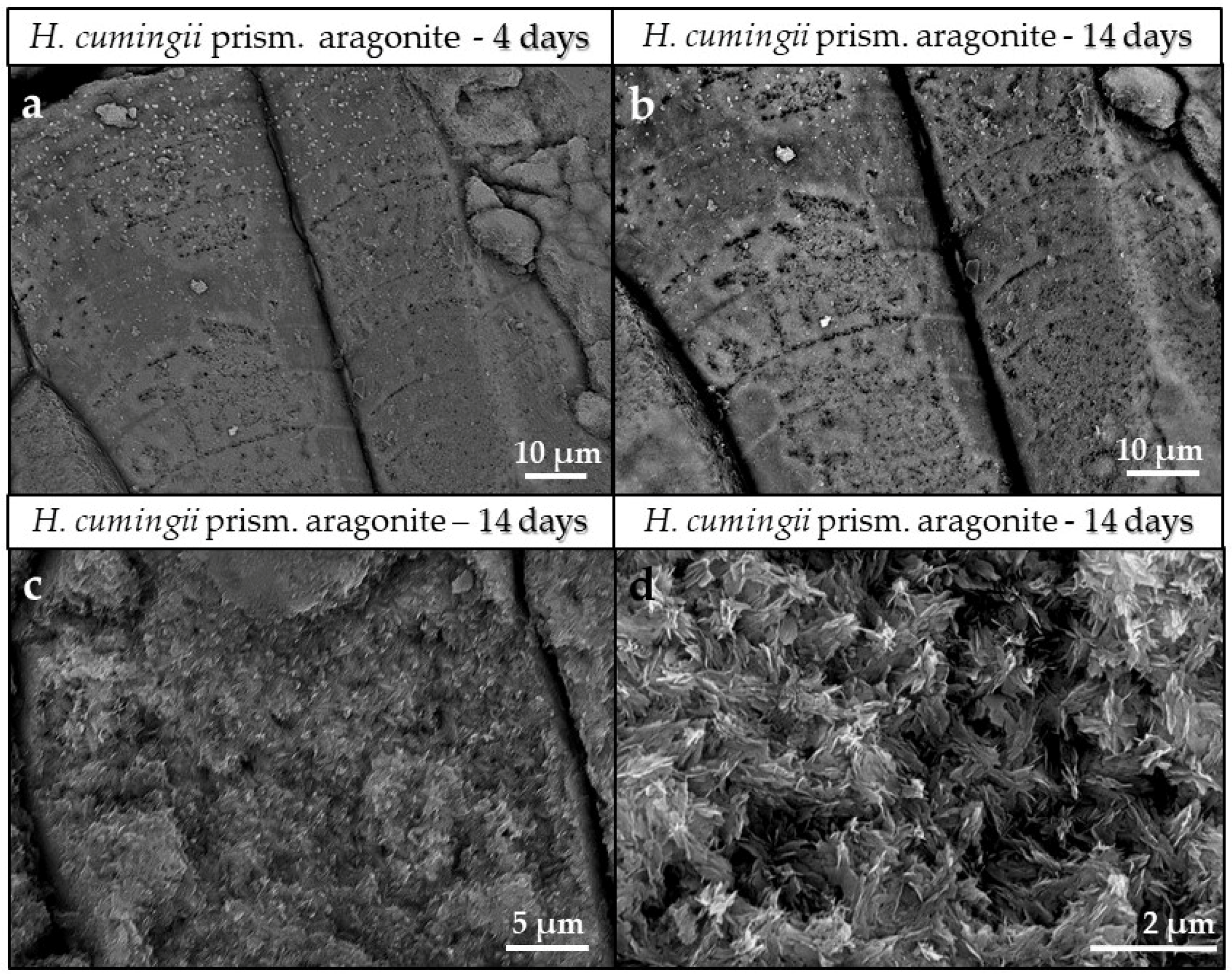 Minerals 08 00315 g006