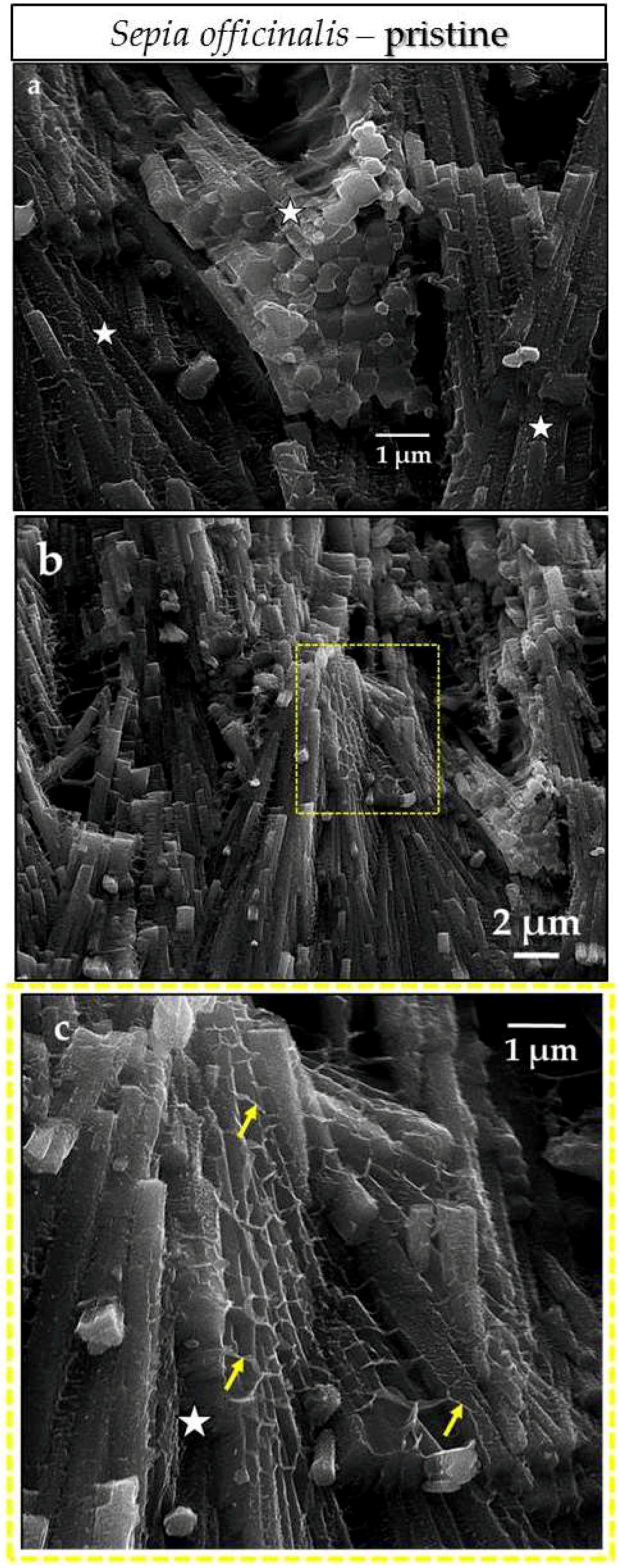 Minerals 08 00315 g0a12