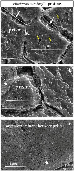 Minerals 08 00315 g0a17