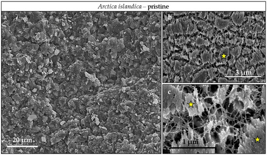 Minerals 08 00315 g0a6