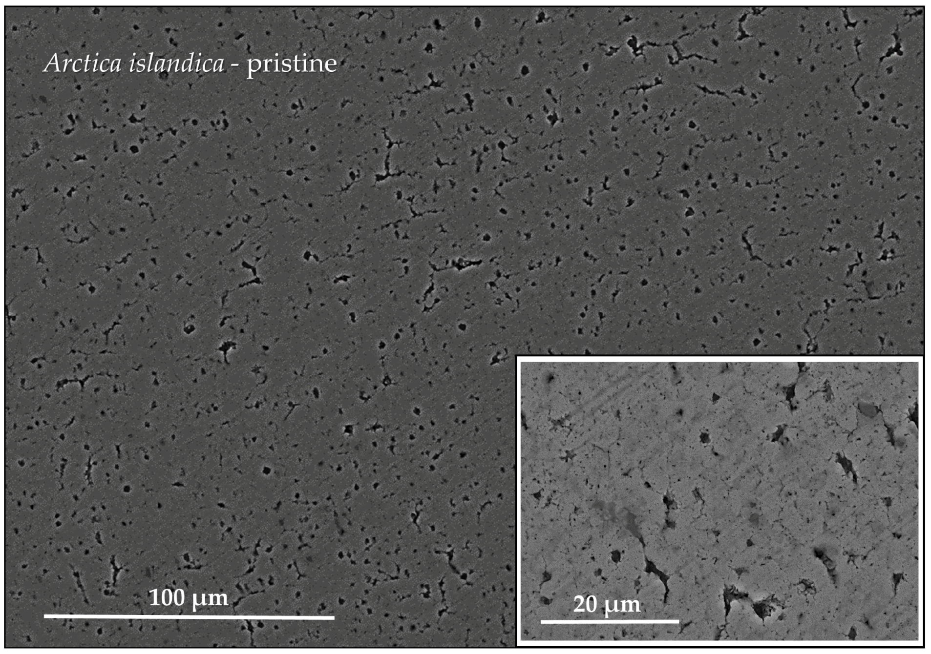 Minerals 08 00315 g0a8