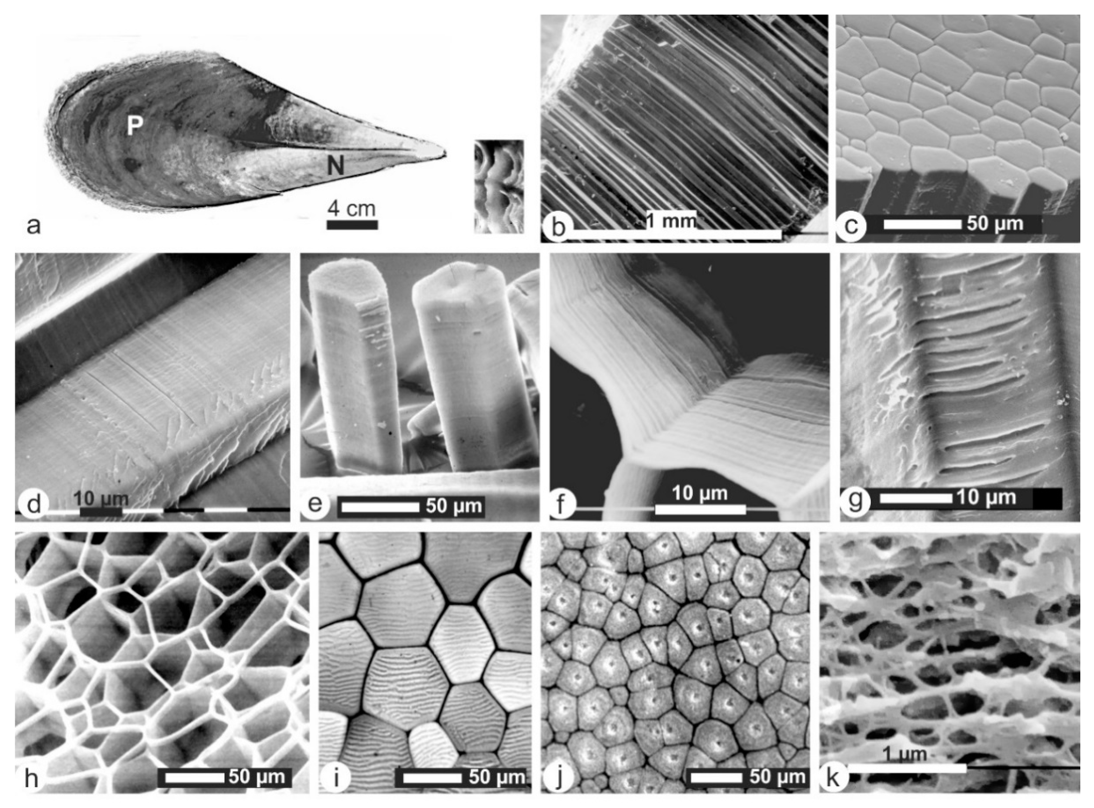 Minerals 08 00365 g002