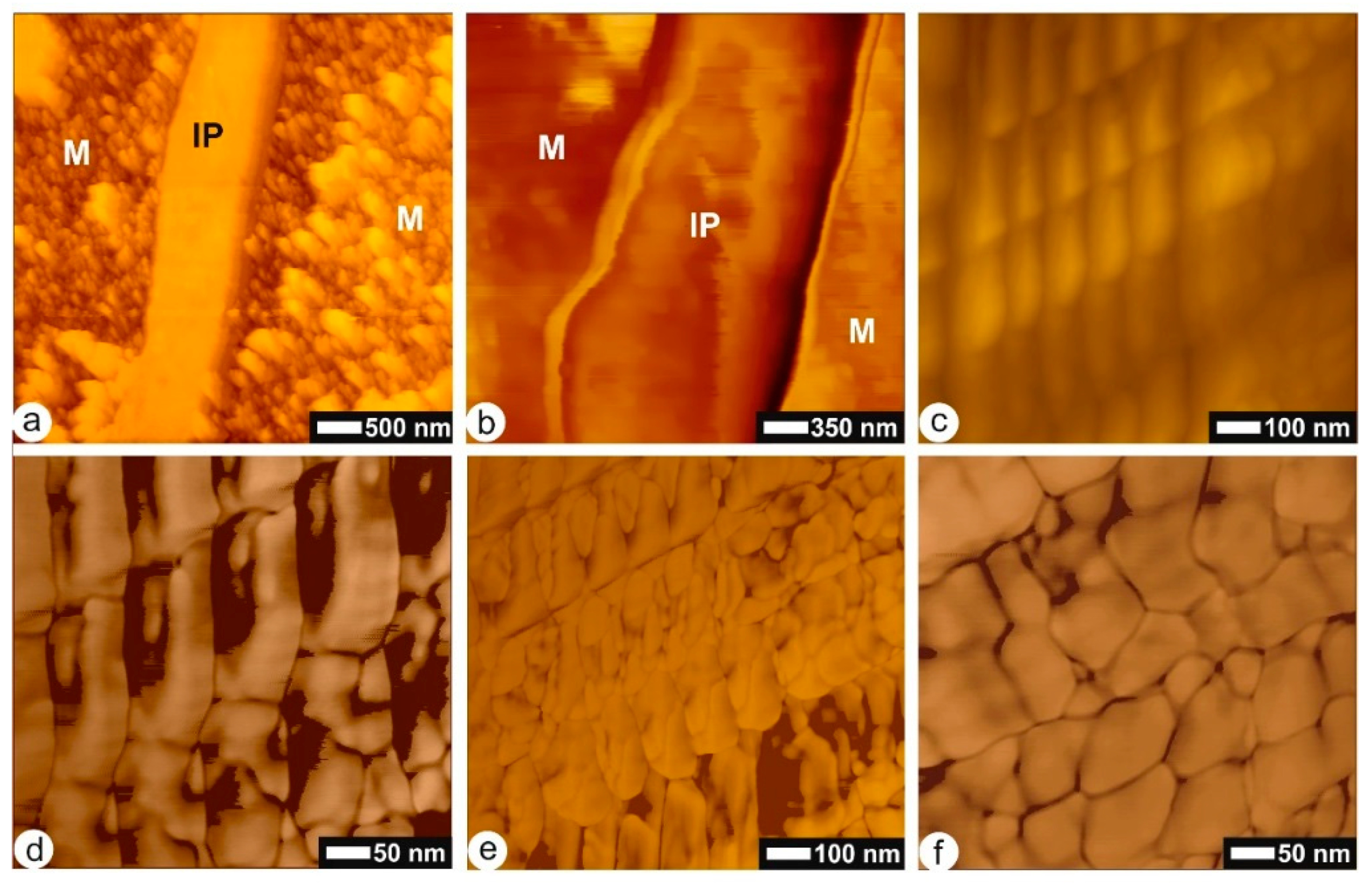 Minerals 08 00365 g003
