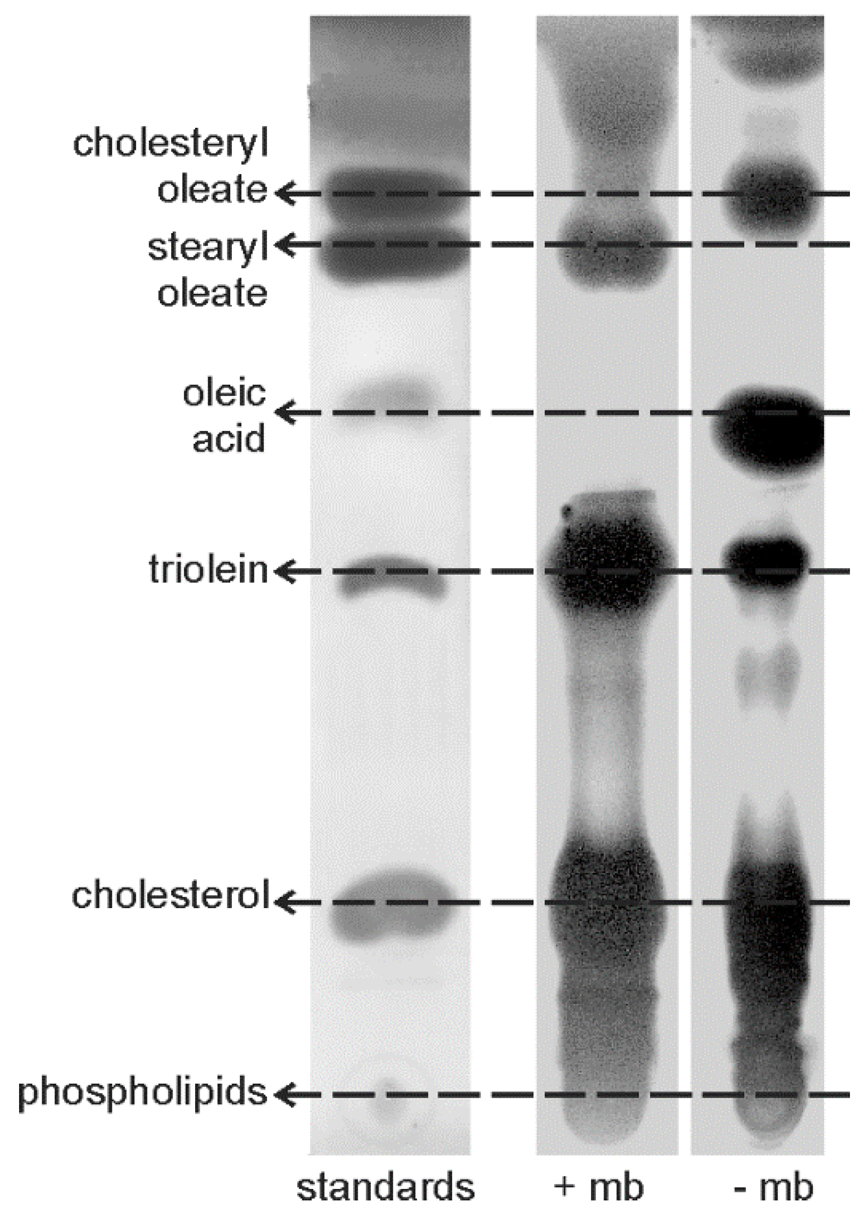 Minerals 08 00365 g008