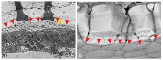 Minerals 08 00370 g0a6