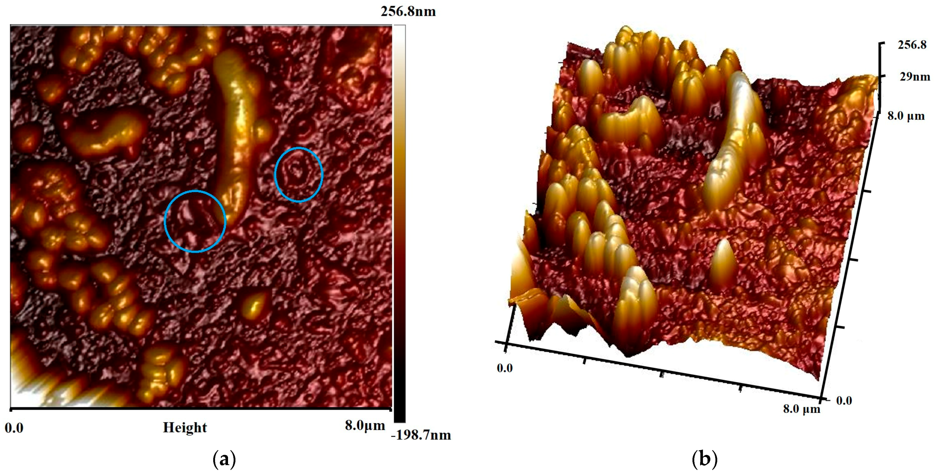 Minerals 08 00422 g007