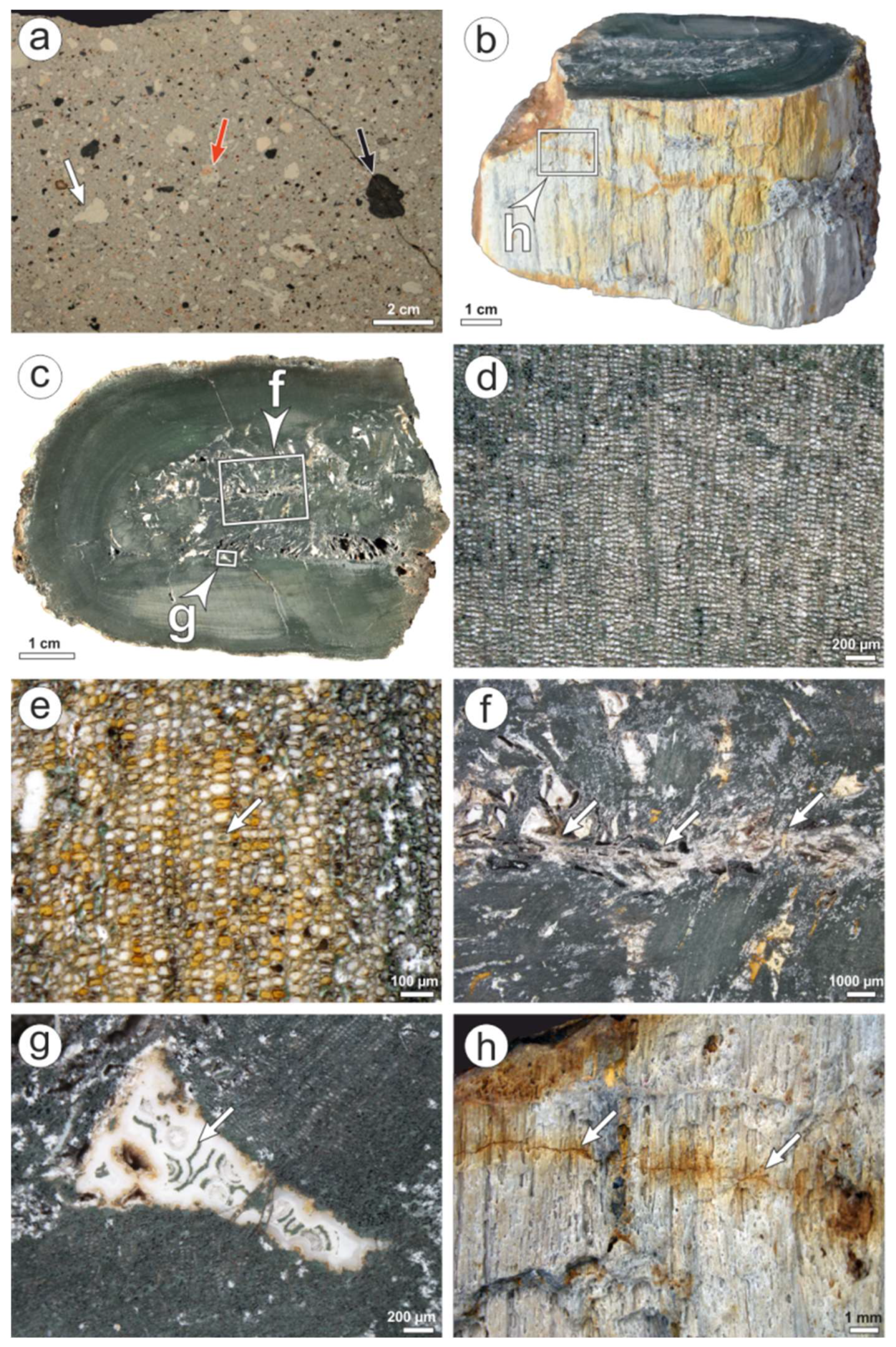 Minerals 08 00432 g004