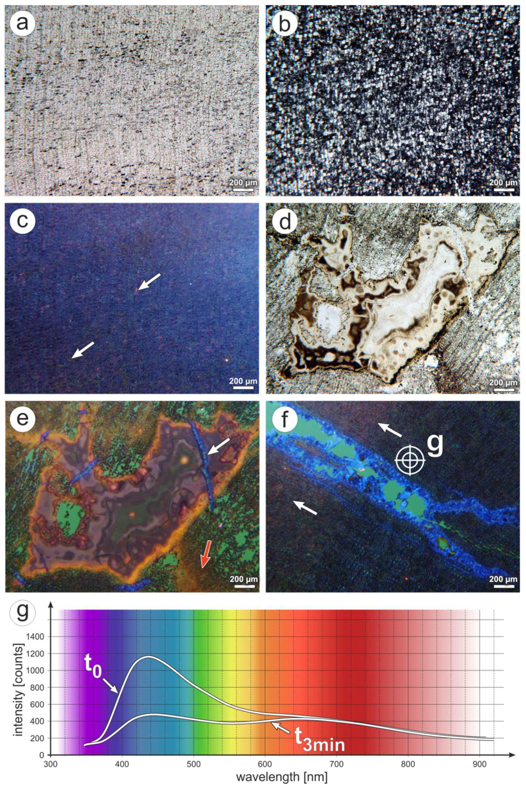 Minerals 08 00432 g005