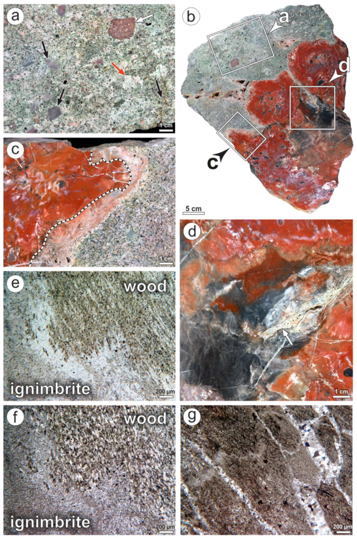 Minerals 08 00432 g006