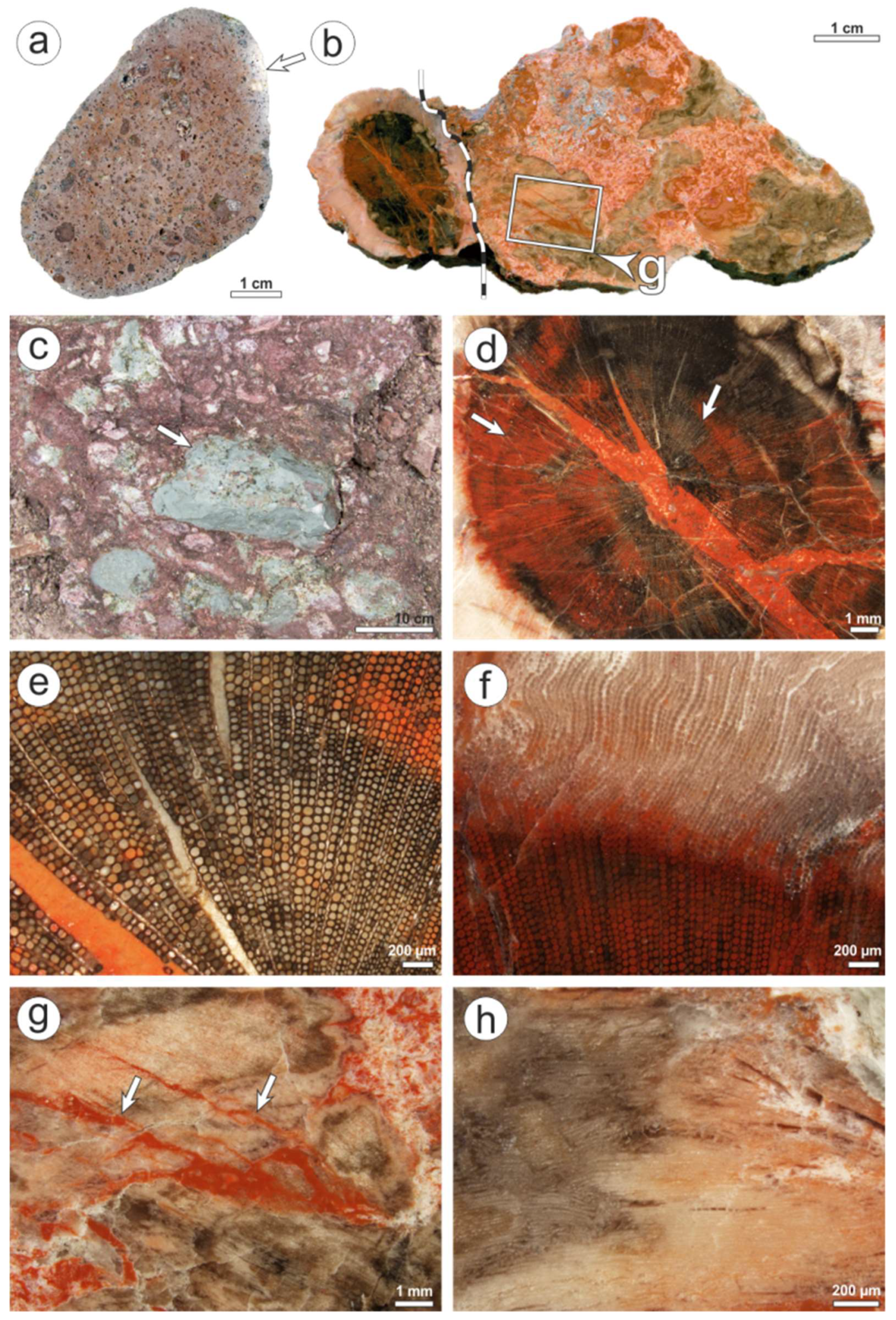 Minerals 08 00432 g008