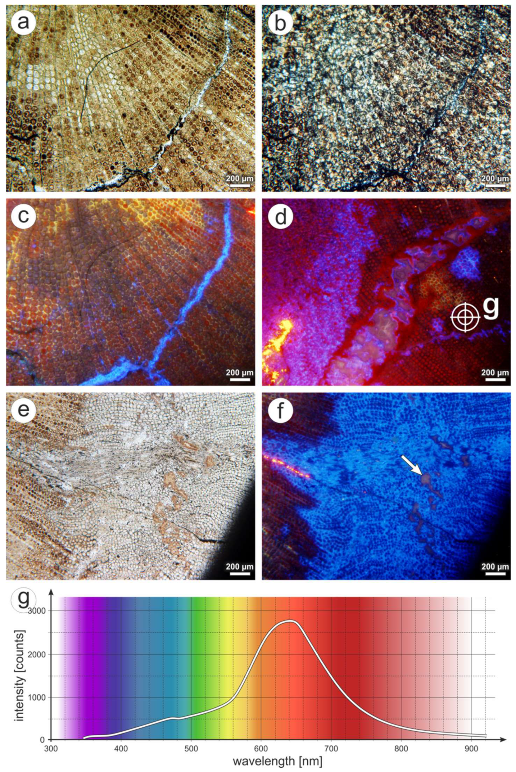 Minerals 08 00432 g009