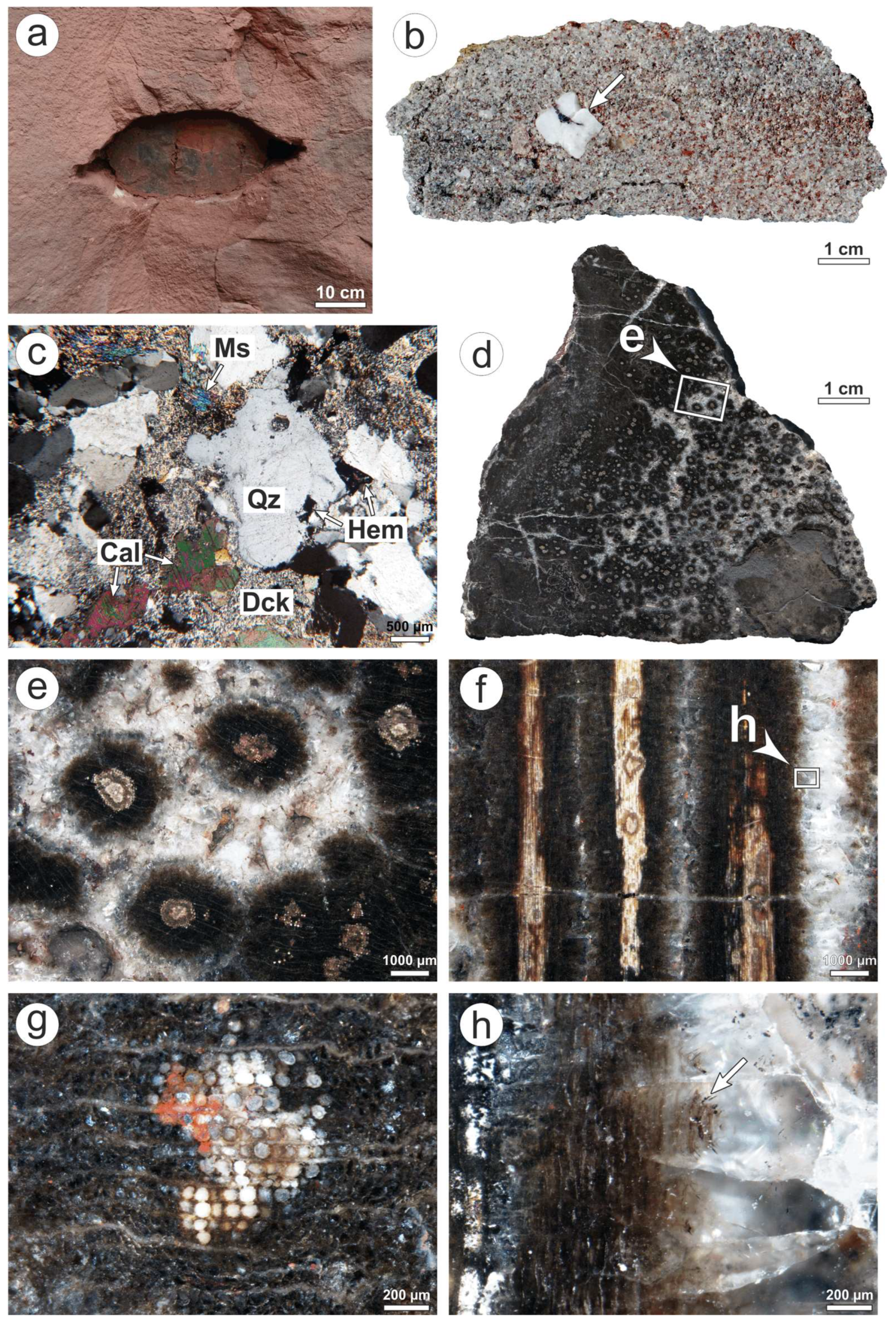 Minerals 08 00432 g010