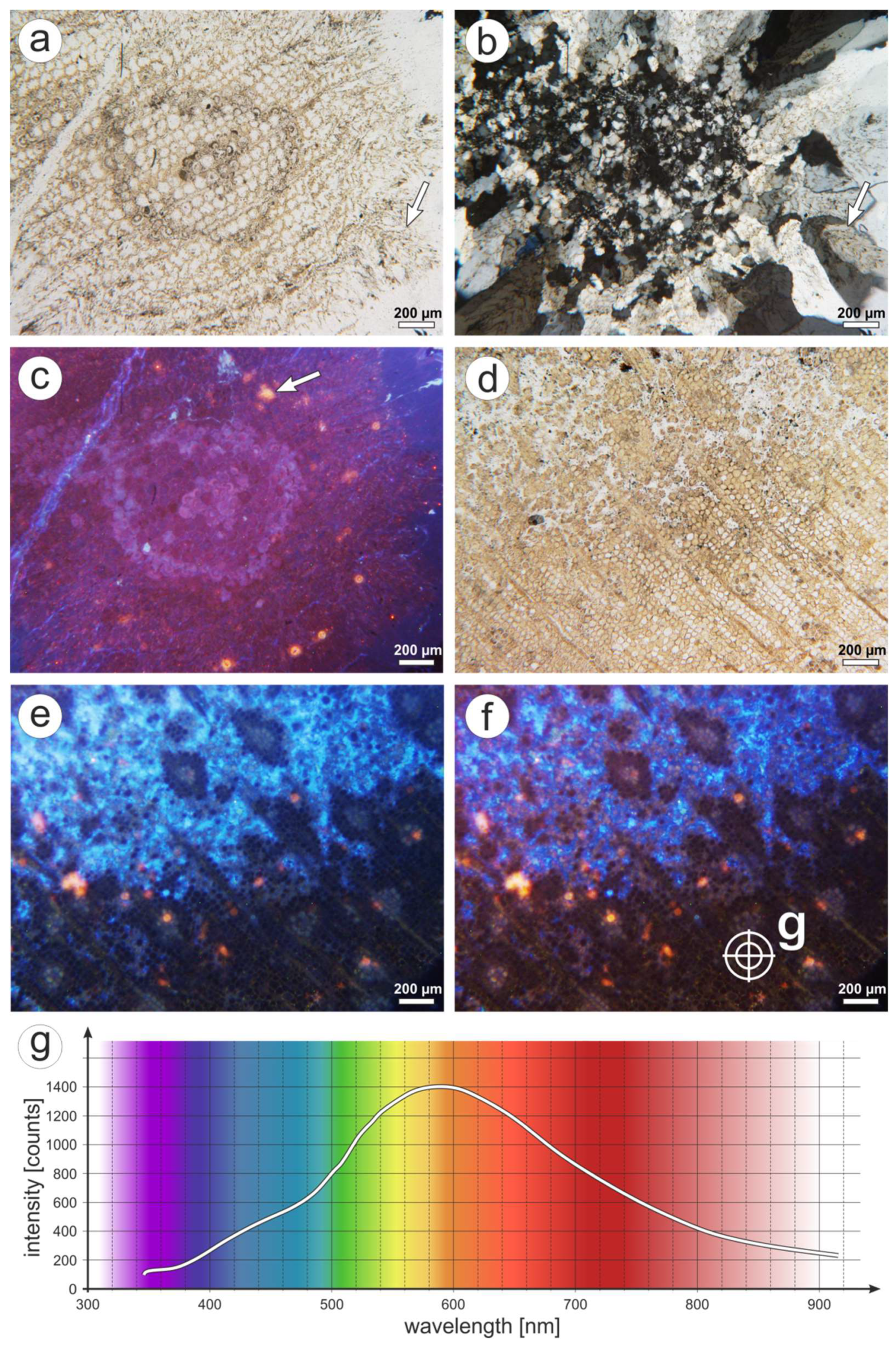 Minerals 08 00432 g011