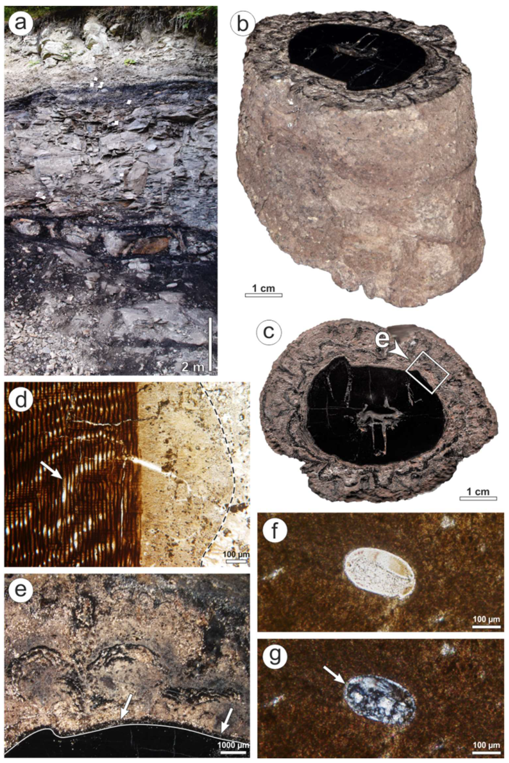 Minerals 08 00432 g012