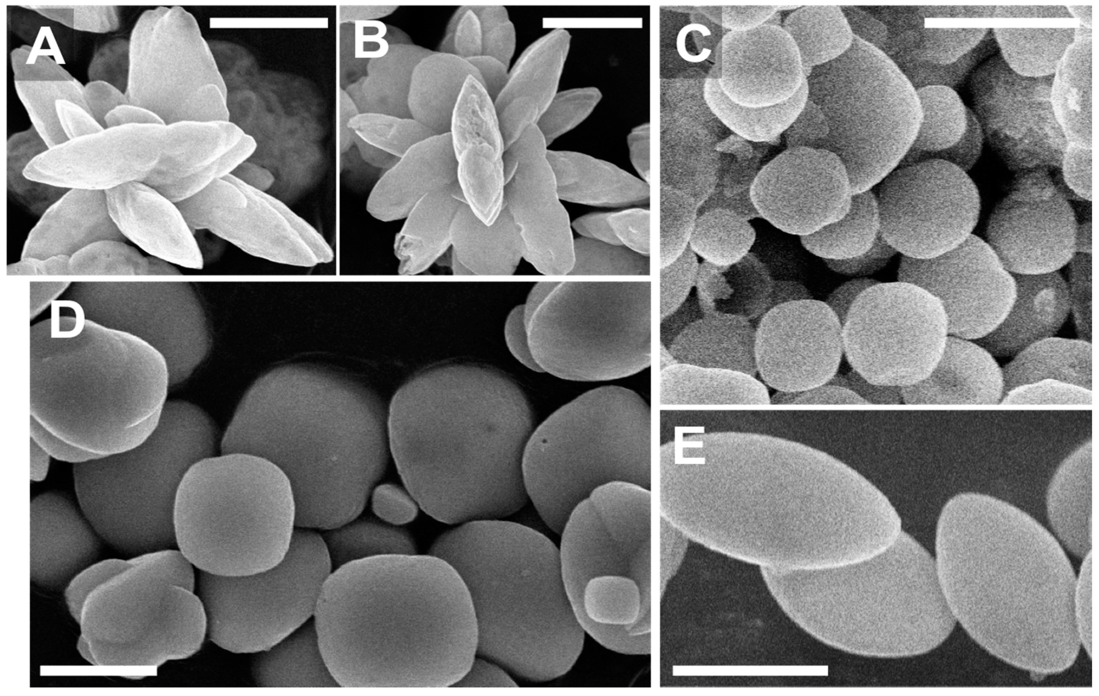 Minerals 08 00480 g001