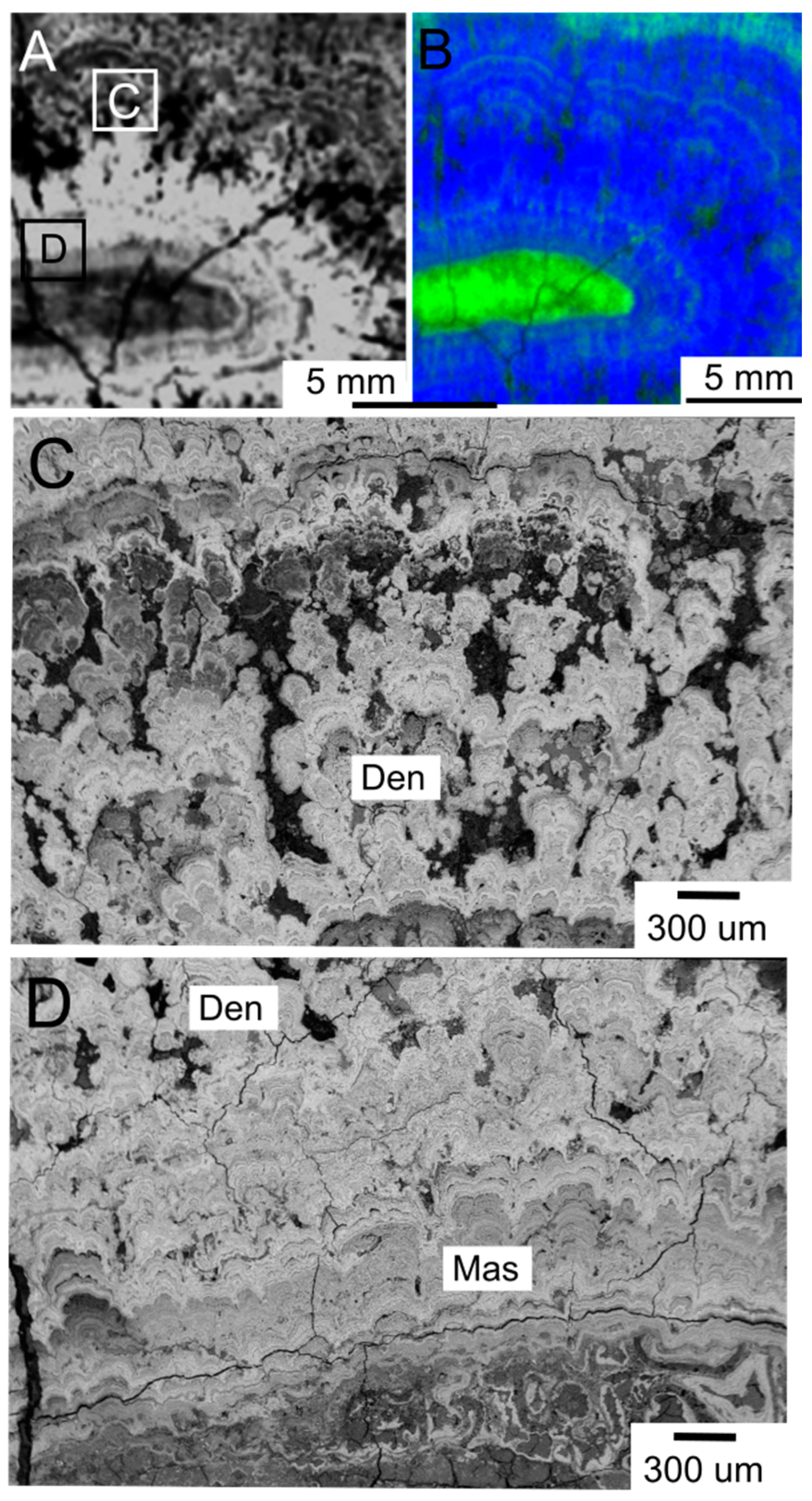 Minerals 08 00488 g005