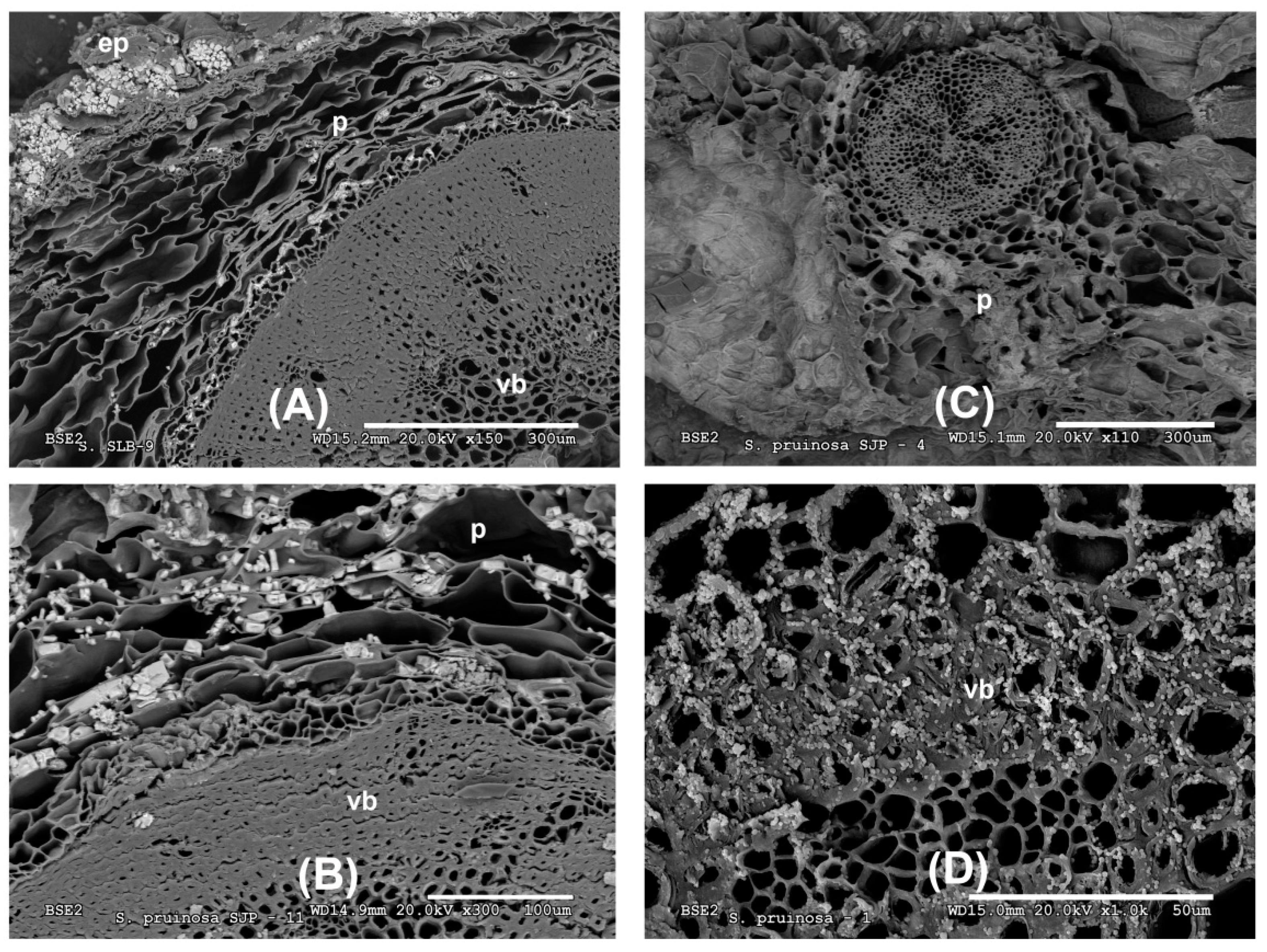 Minerals 08 00505 g002