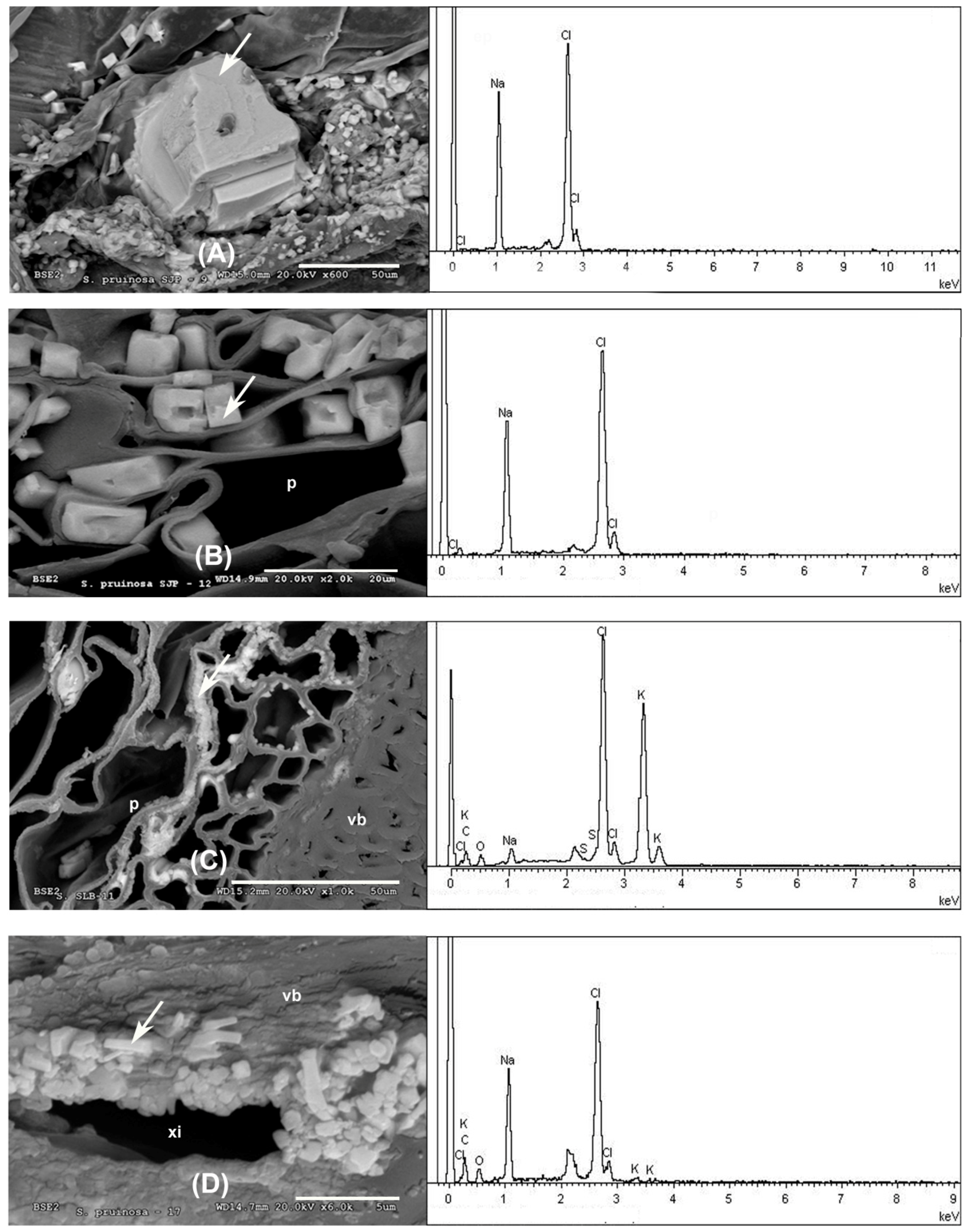 Minerals 08 00505 g003