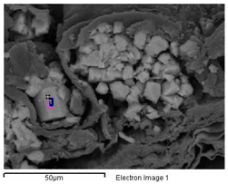 Minerals 08 00505 i001