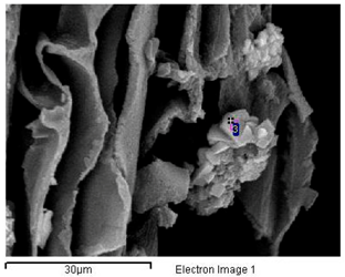 Minerals 08 00505 i003