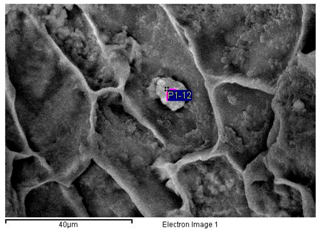 Minerals 08 00505 i007