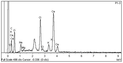Minerals 08 00505 i012