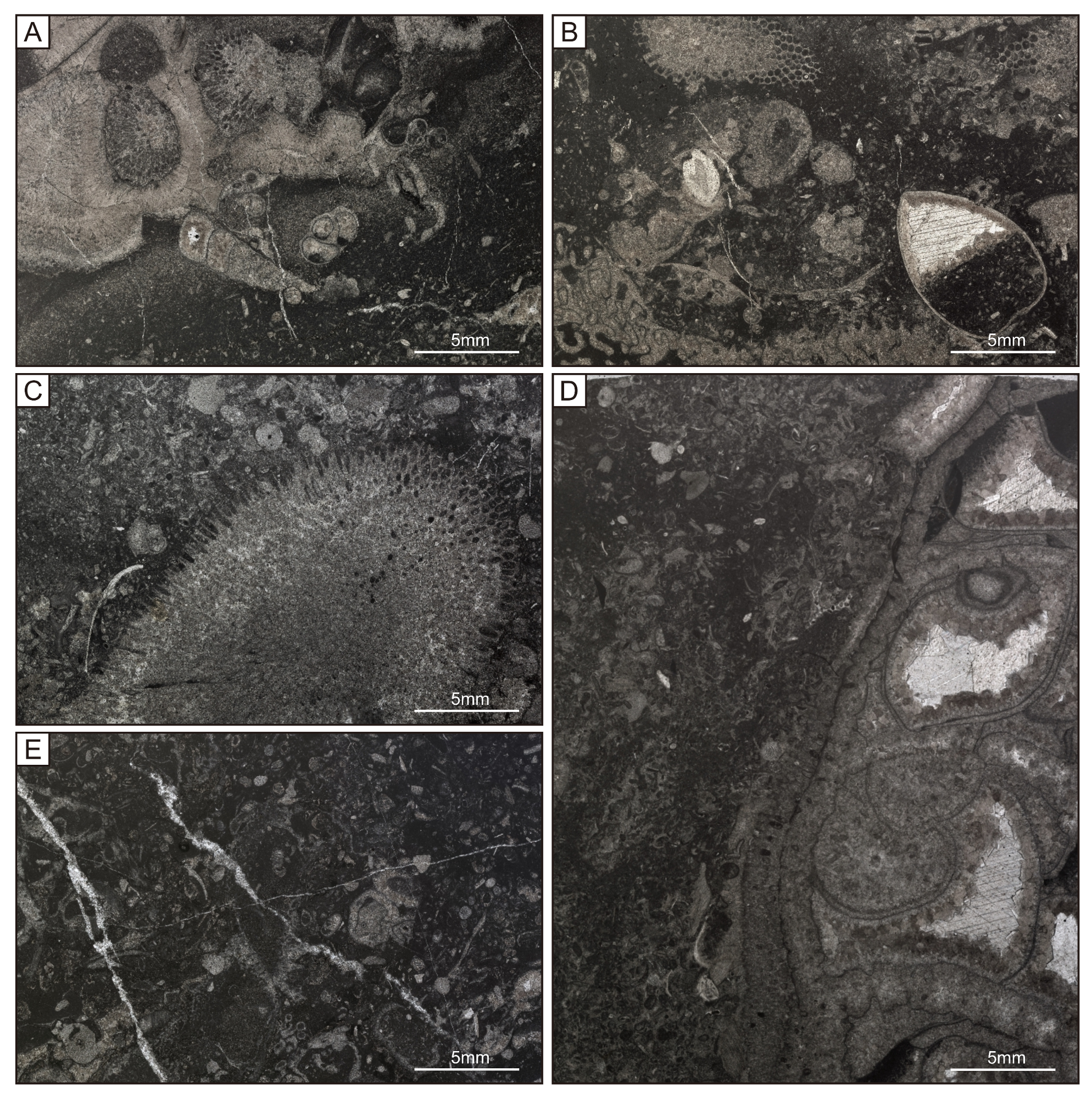 Minerals 08 00533 g005
