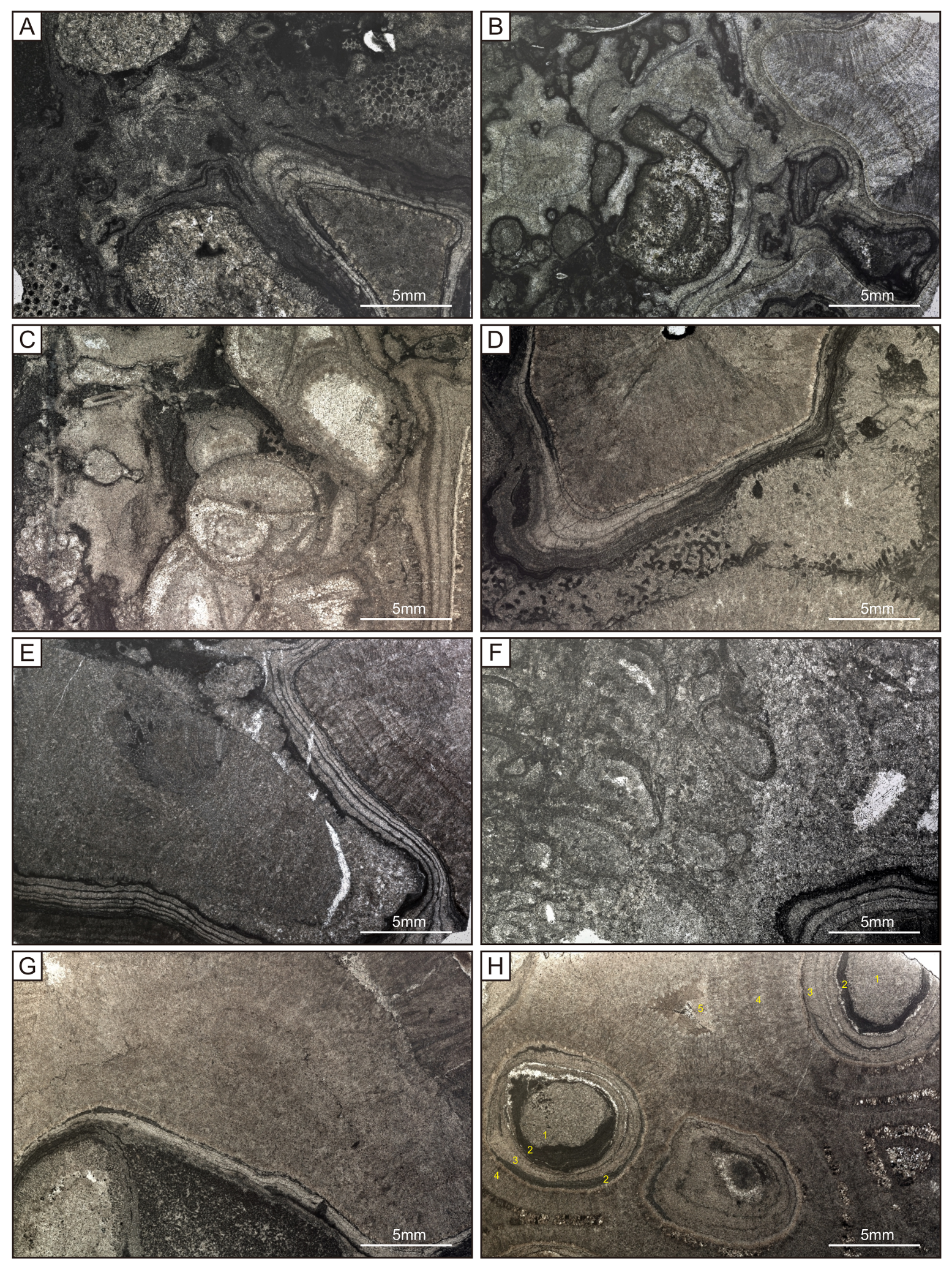 Minerals 08 00533 g008