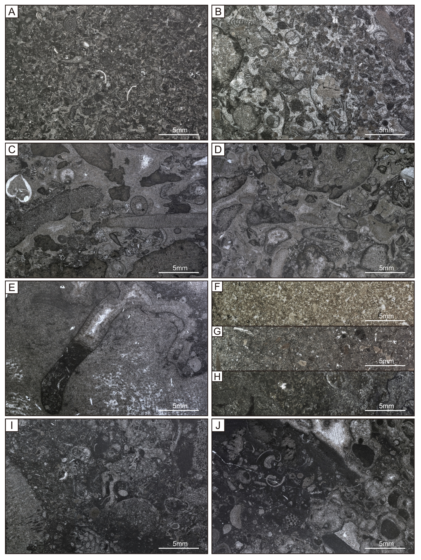 Minerals 08 00533 g010