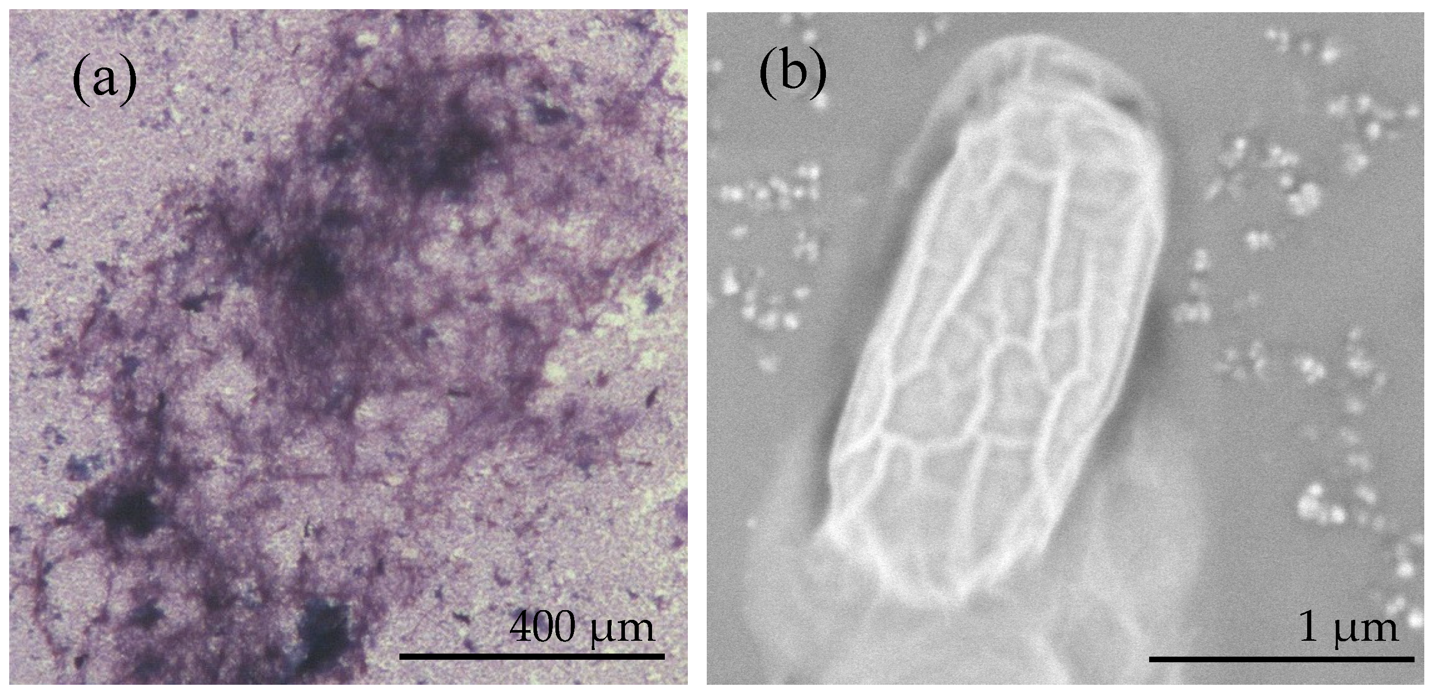 Minerals 08 00585 g002