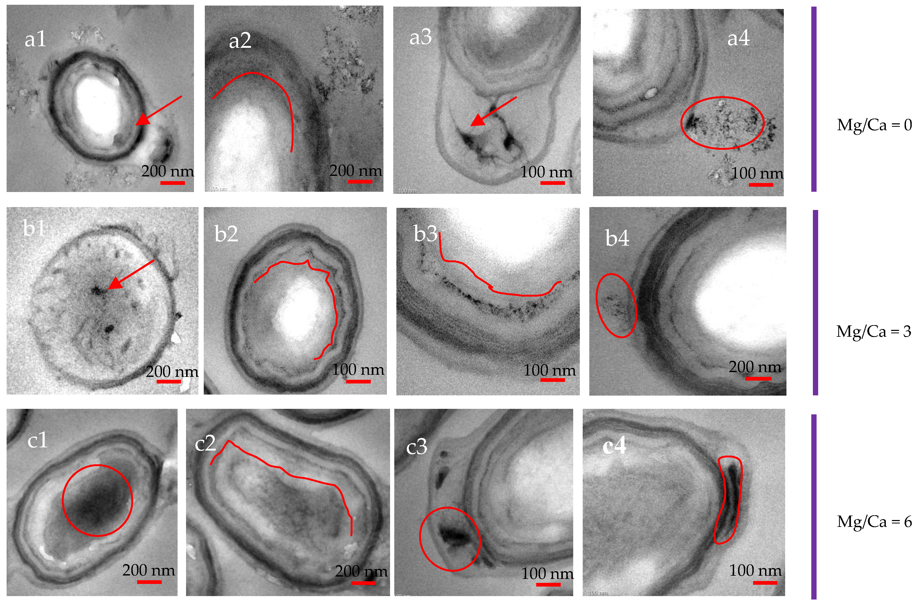 Minerals 08 00585 g009a