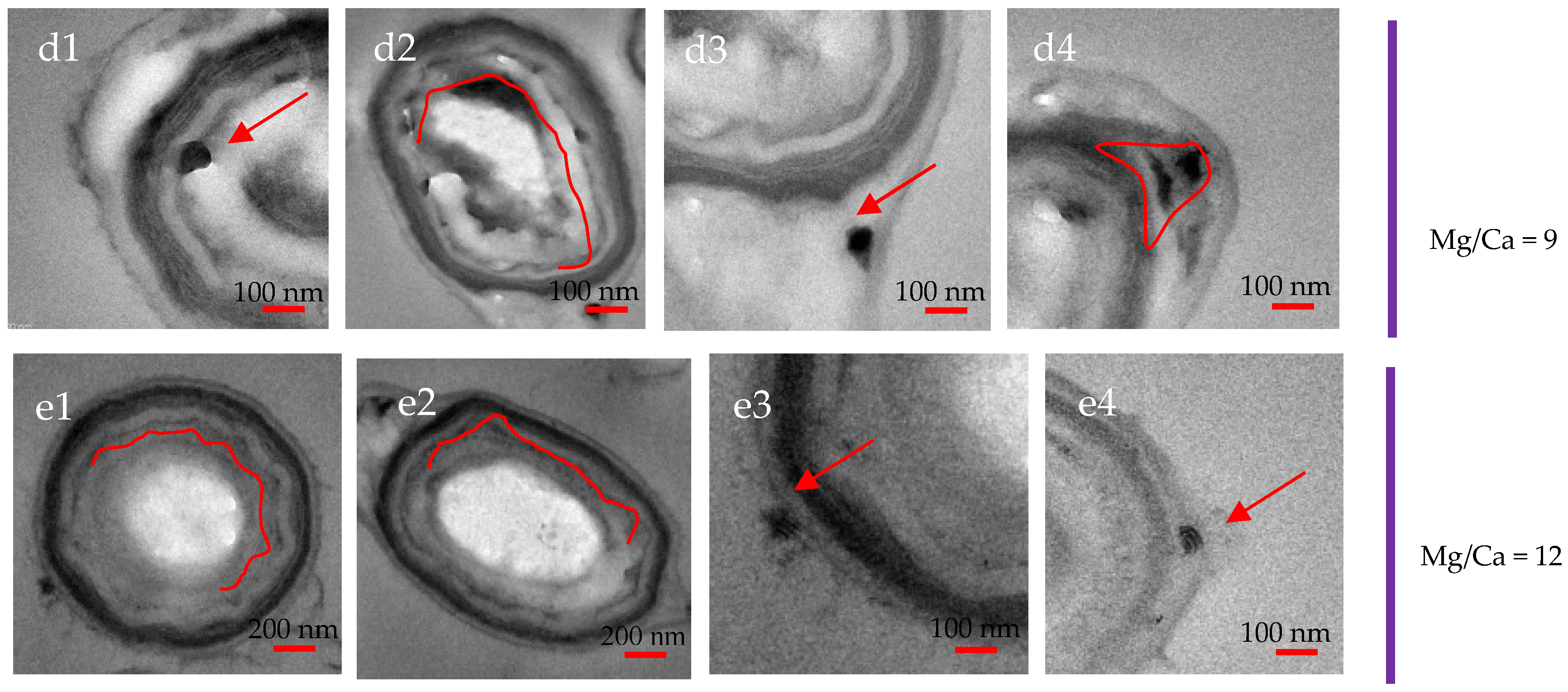 Minerals 08 00585 g009b
