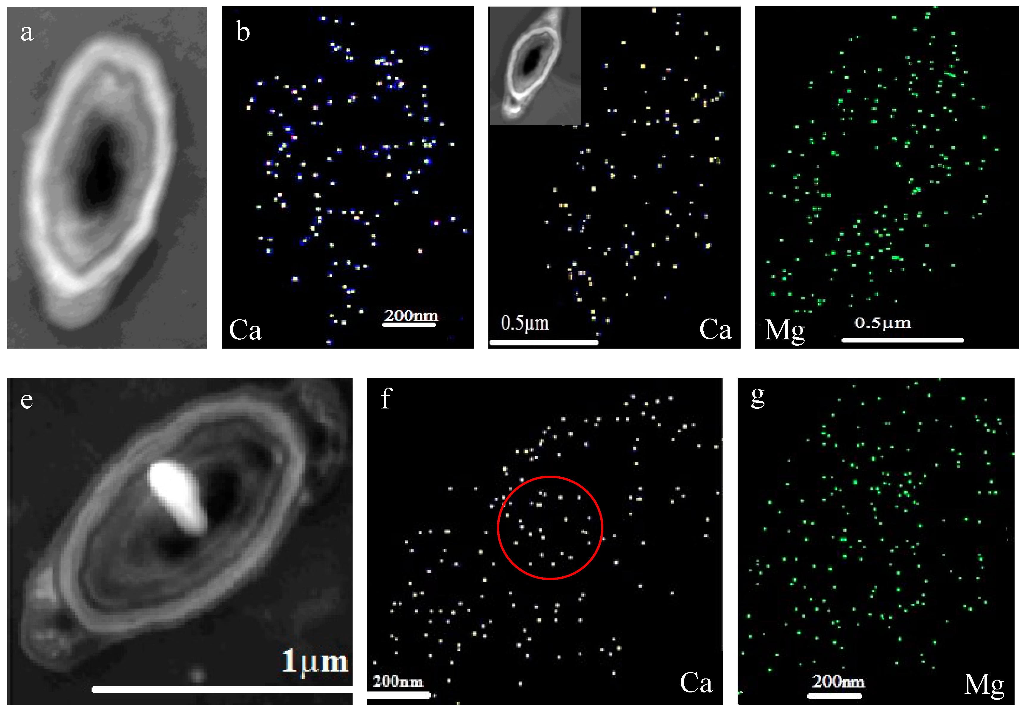 Minerals 08 00585 g012
